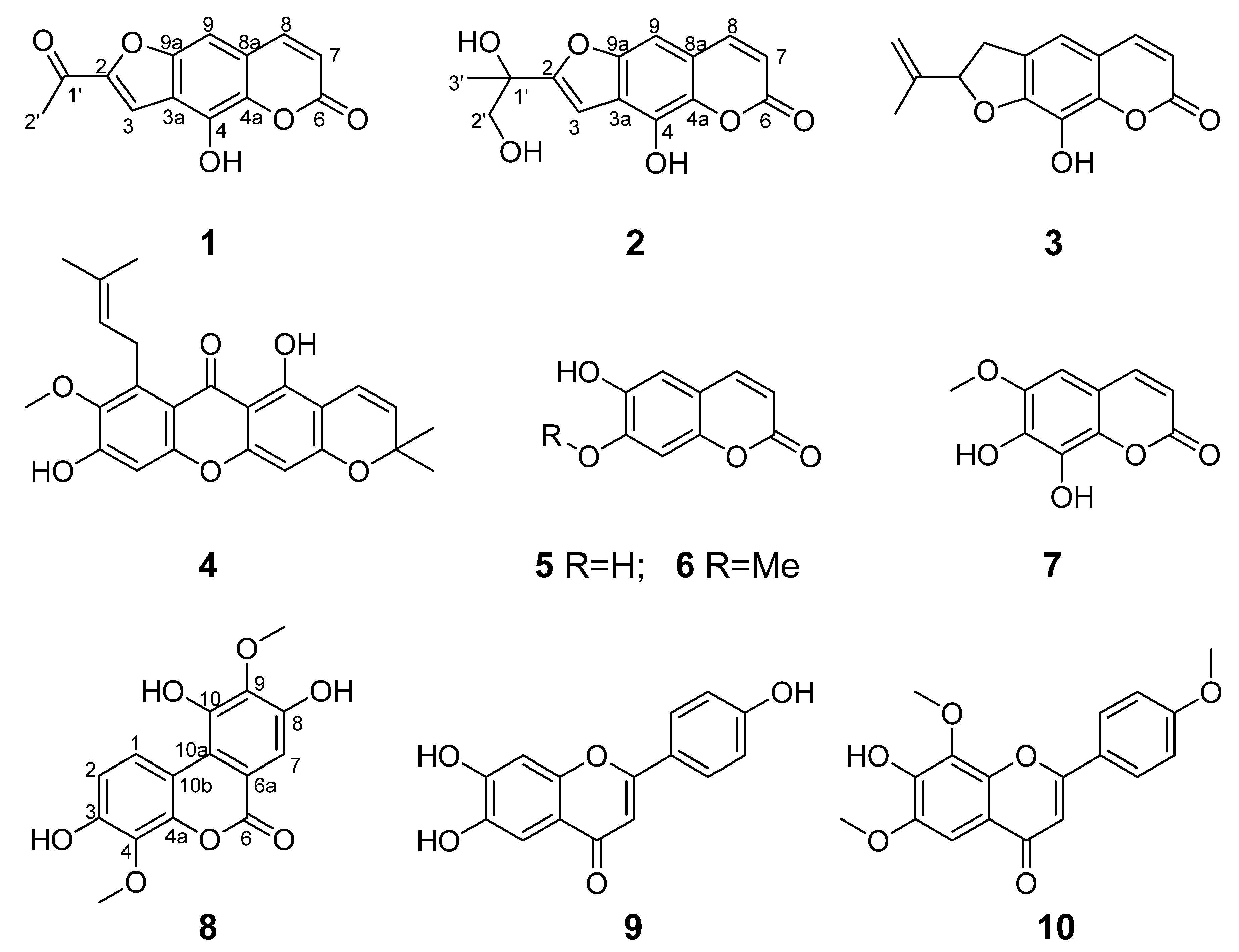 Molecules | Free Full-Text | Polycyclic Phenol Derivatives from the ...