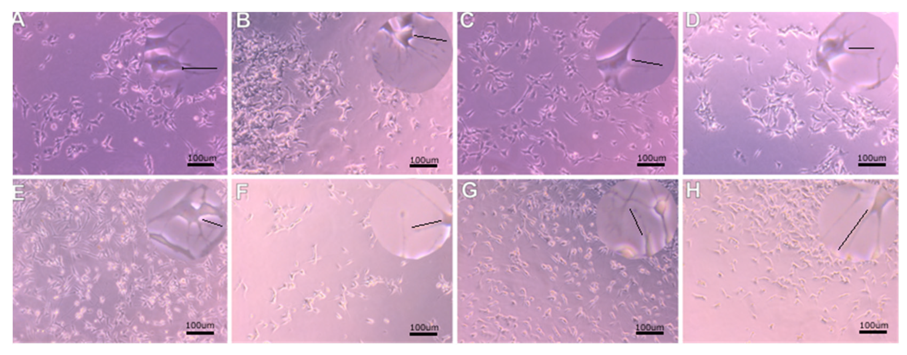 Molecules 27 03337 g004 Molecules 27 03337 g004