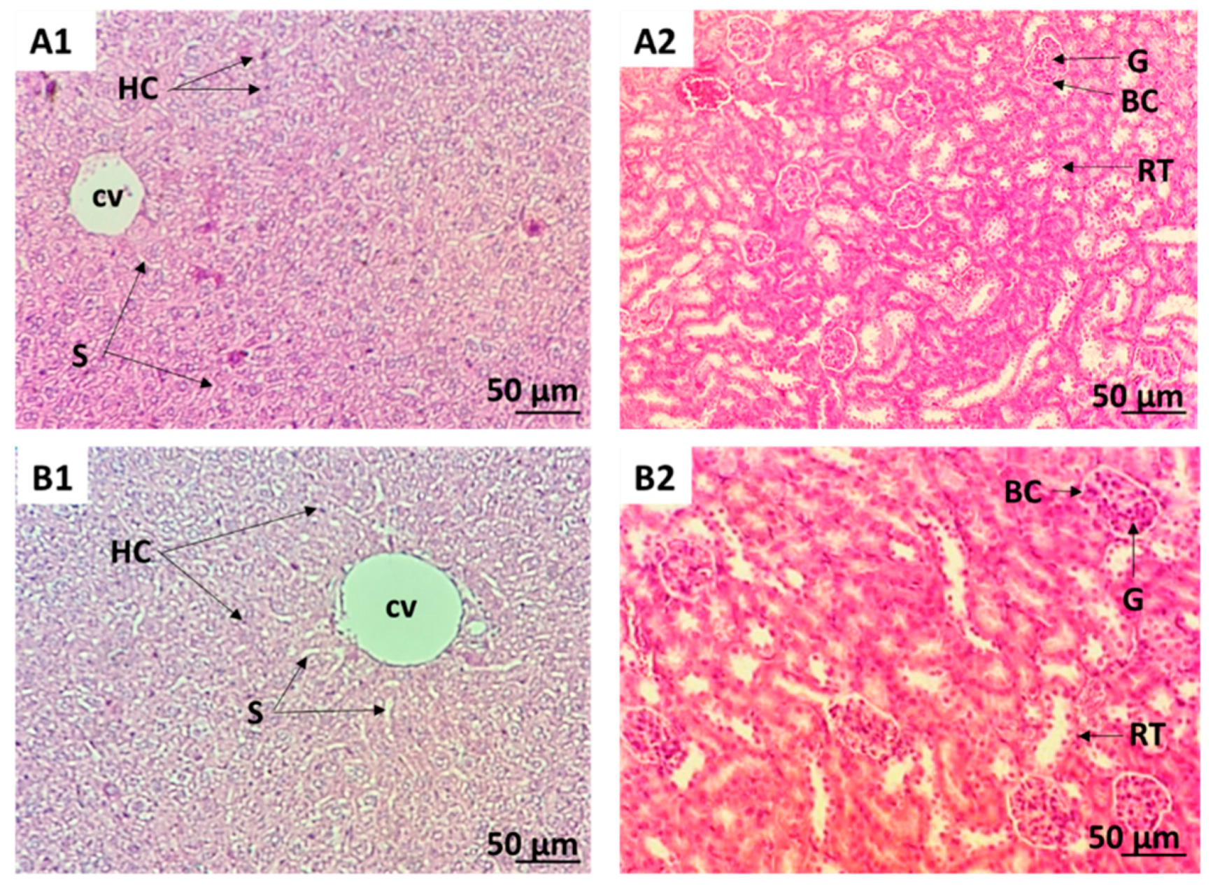 Molecules 27 03339 g002