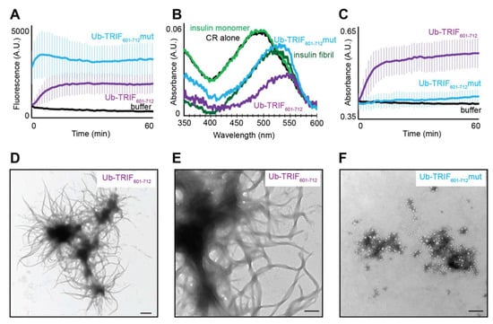 Molecules | Free Full-Text | The RHIM of the Immune Adaptor Protein TRIF  Forms Hybrid Amyloids with Other Necroptosis-Associated Proteins