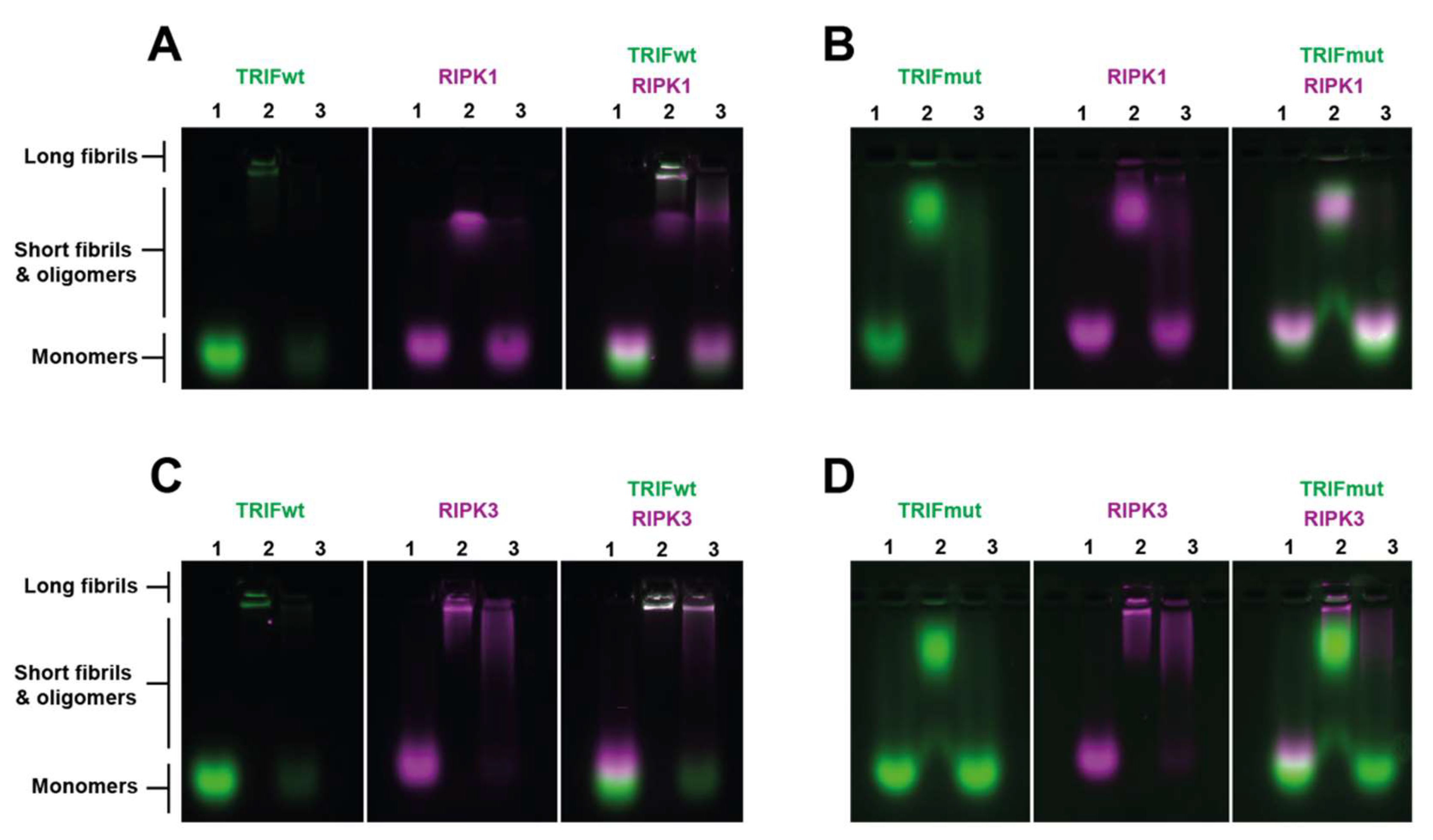 Molecules 27 03382 g005 Molecules 27 03382 g005