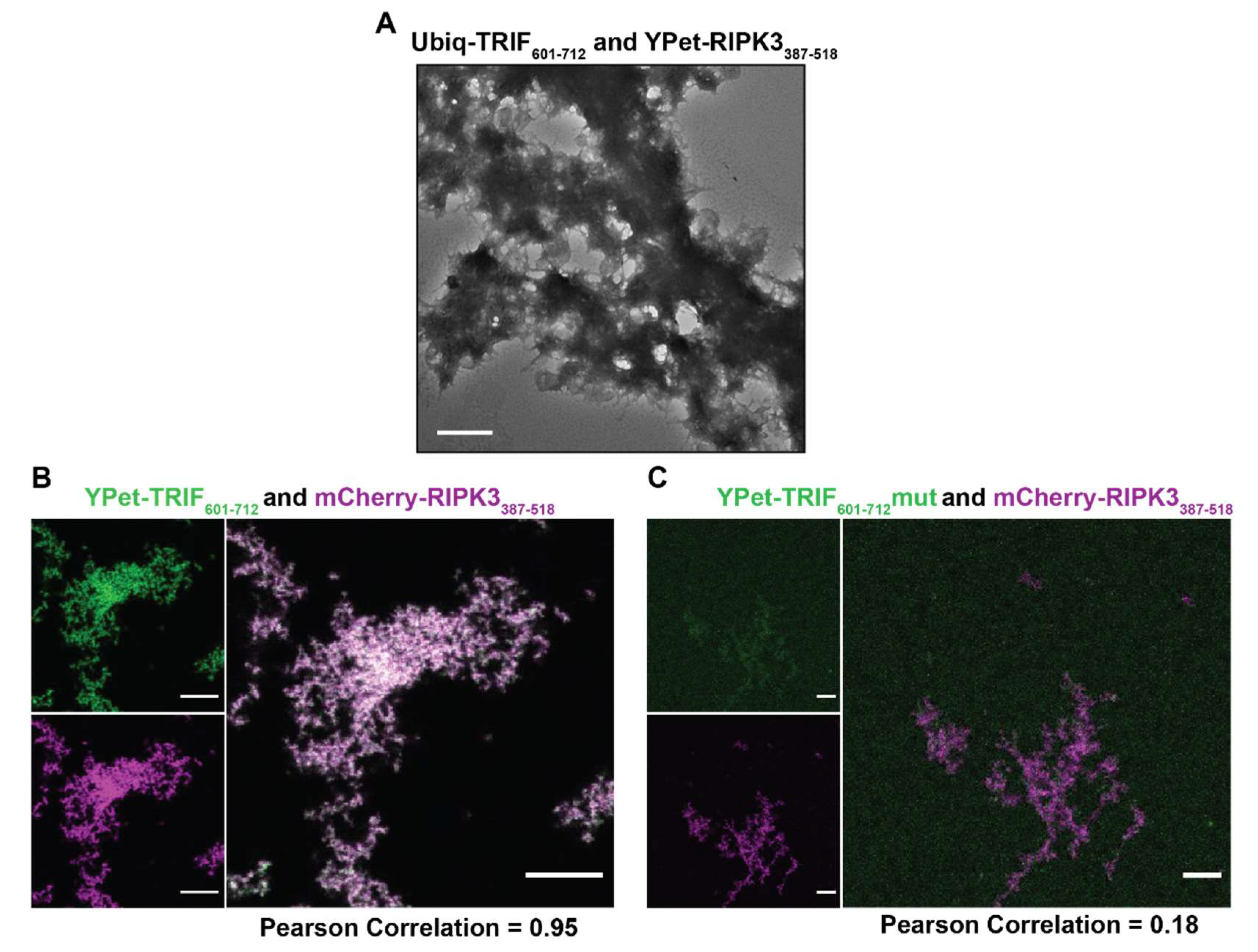 Molecules 27 03382 g007 Molecules 27 03382 g007