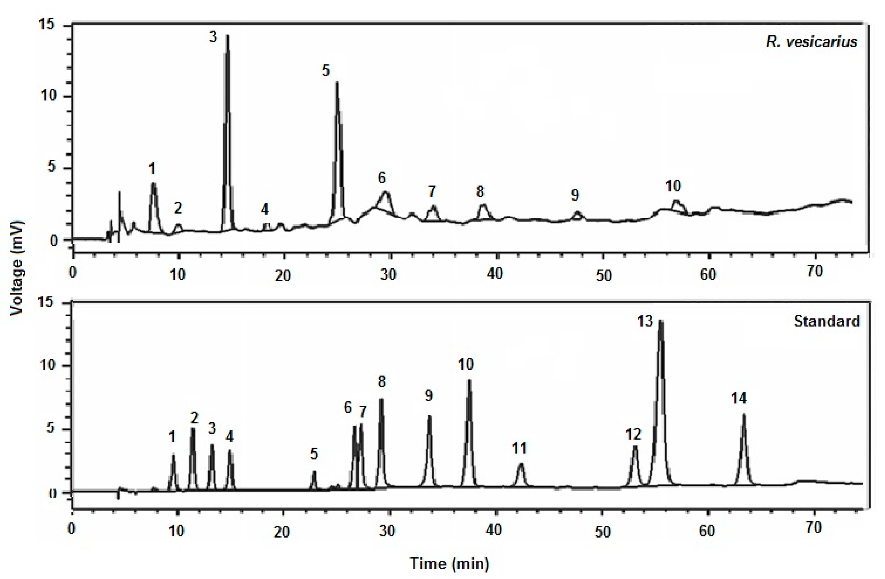 Molecules 27 03383 g001 Molecules 27 03383 g001