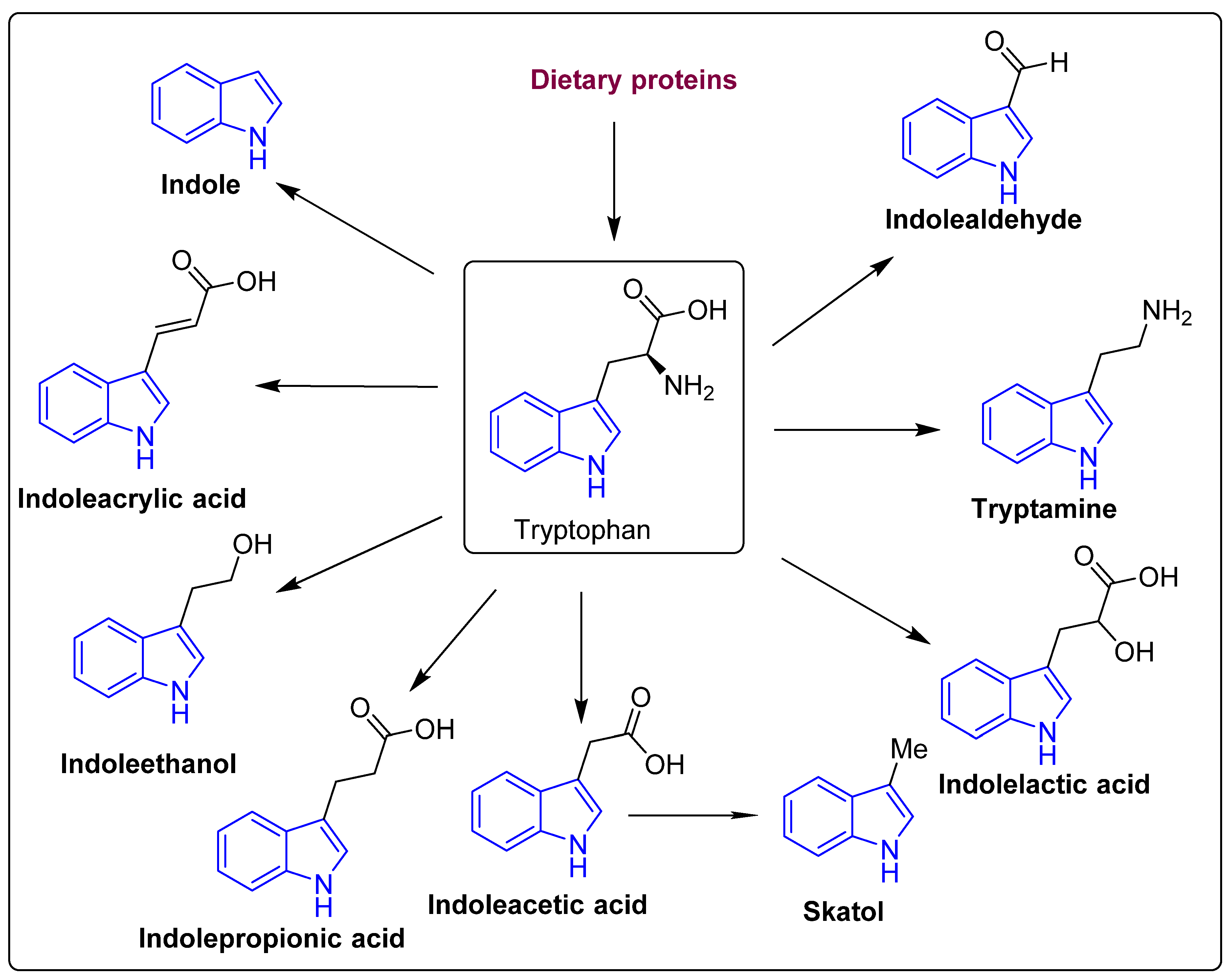 Molecules 27 03402 g003 Molecules 27 03402 g003