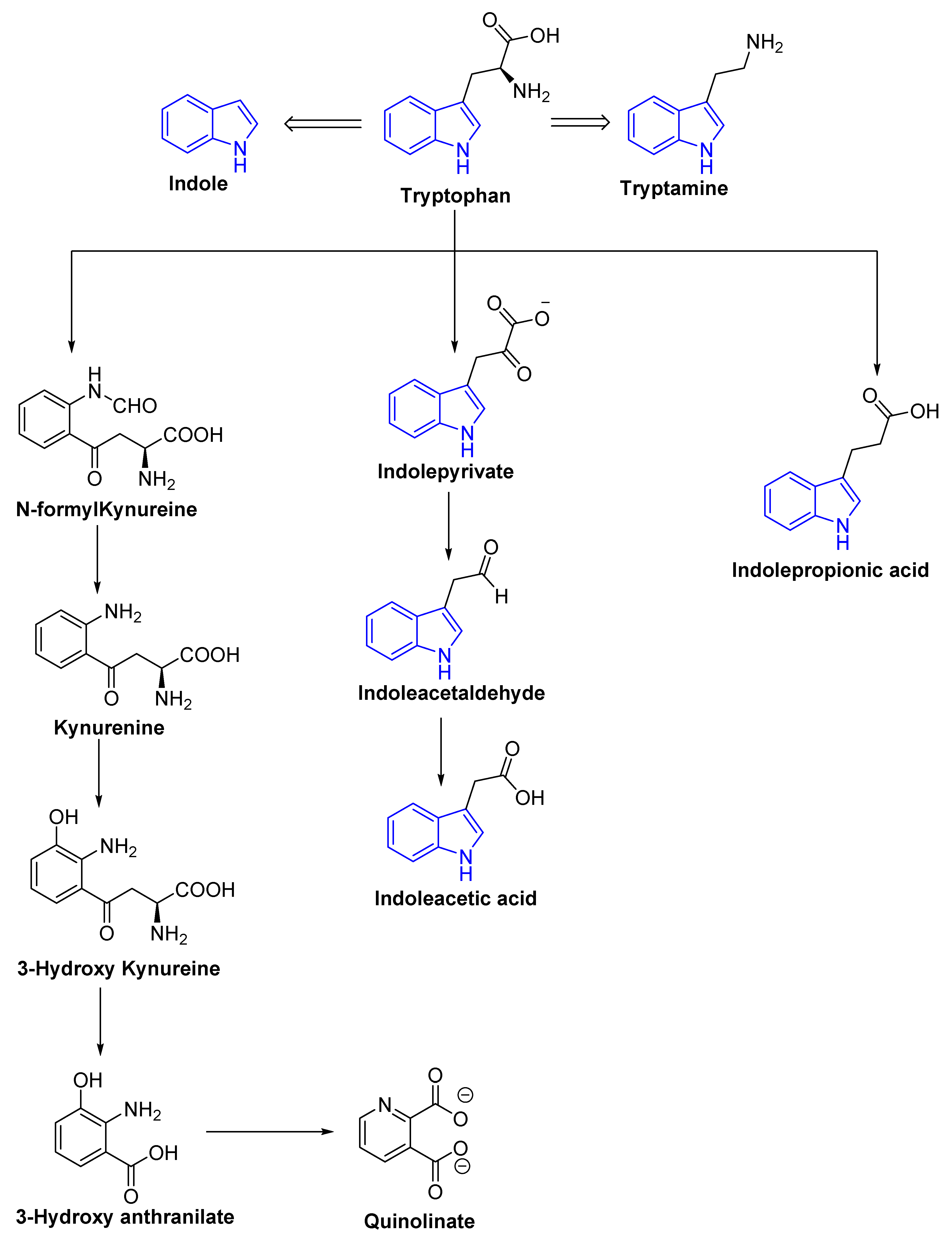Molecules 27 03402 g004 Molecules 27 03402 g004