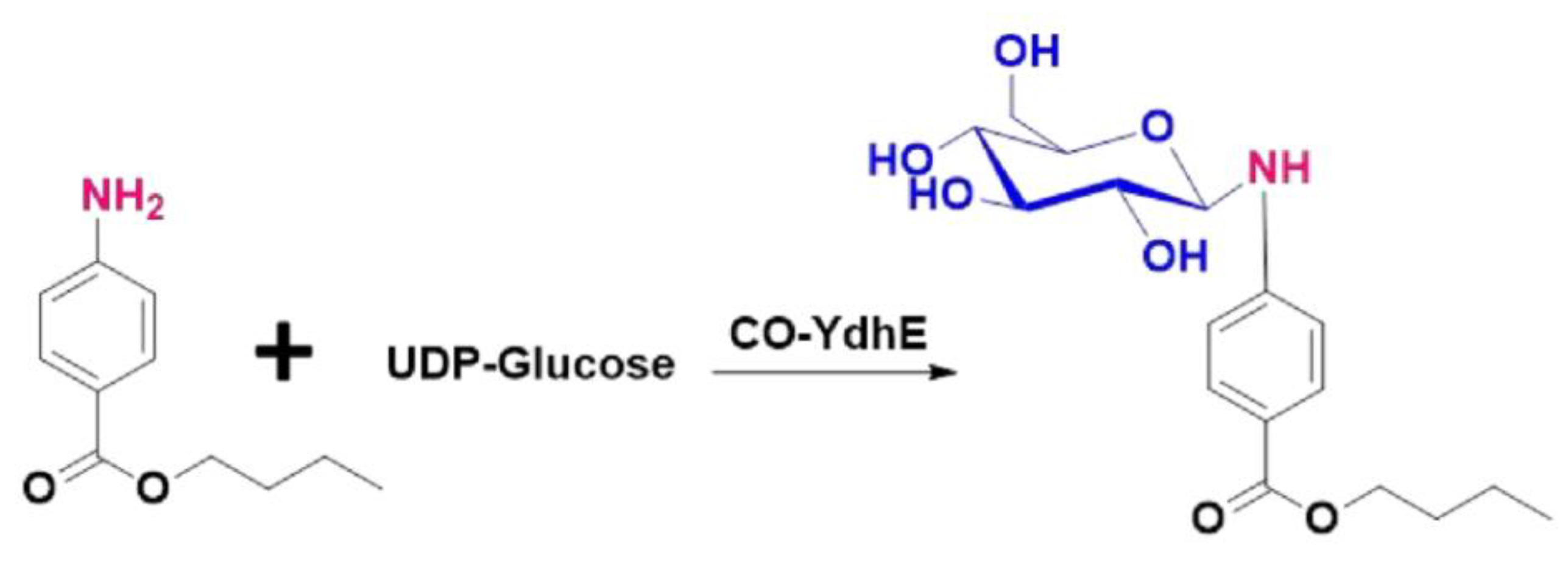 Molecules 27 03405 g001