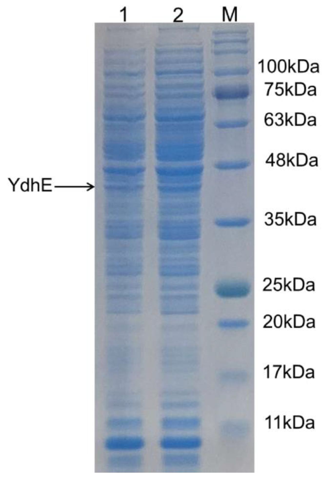 Molecules 27 03405 g002