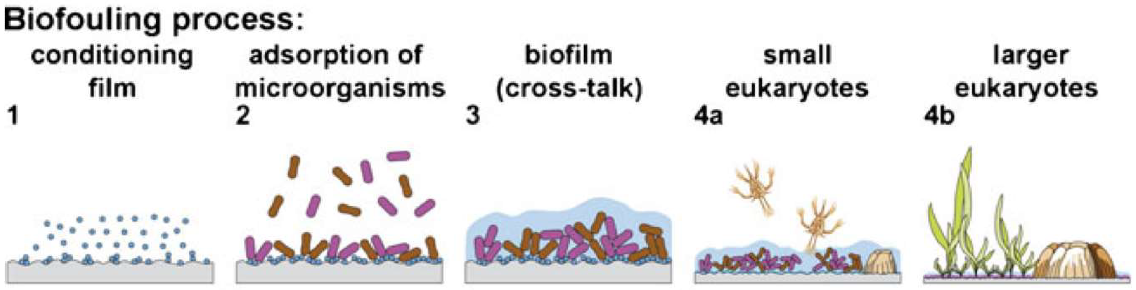 Molecules 27 03408 g001 Molecules 27 03408 g001