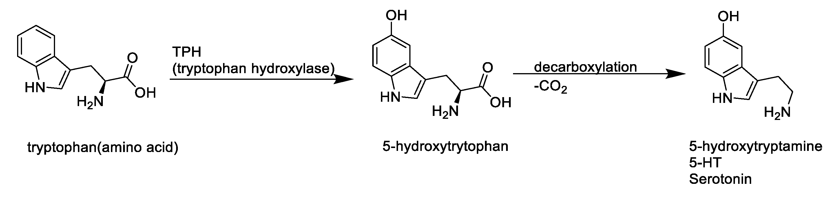 Molecules 27 03417 g001