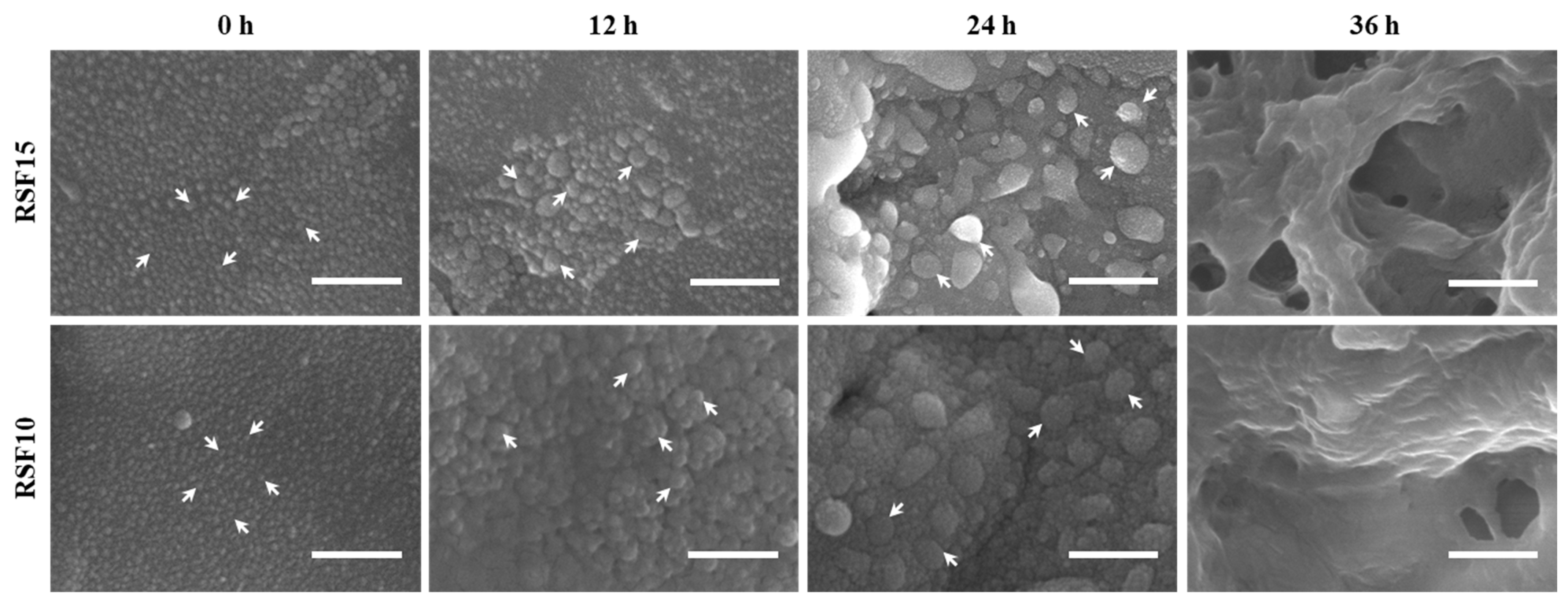 Molecules 27 03418 g002