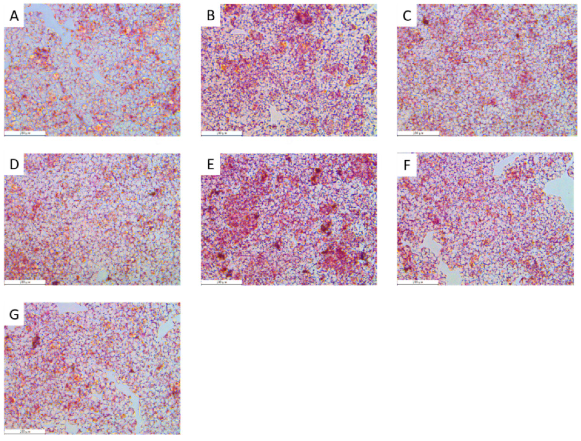 Molecules 27 03423 g007 Molecules 27 03423 g007