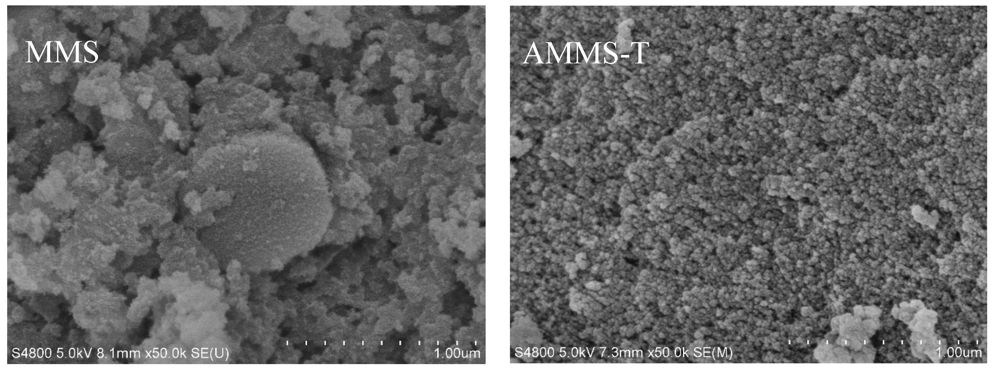 Molecules 27 03429 g002