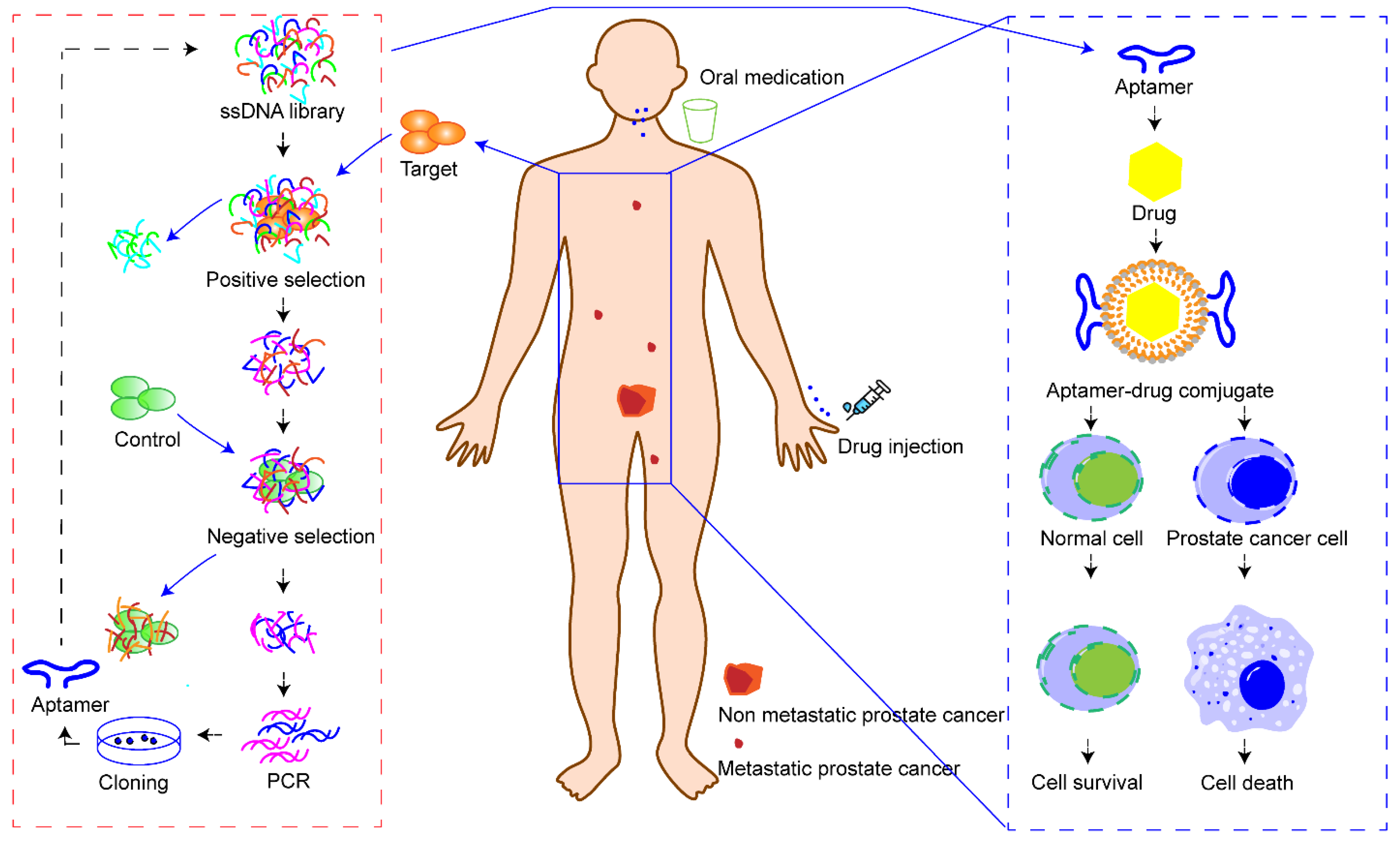 Molecules 27 03446 g003