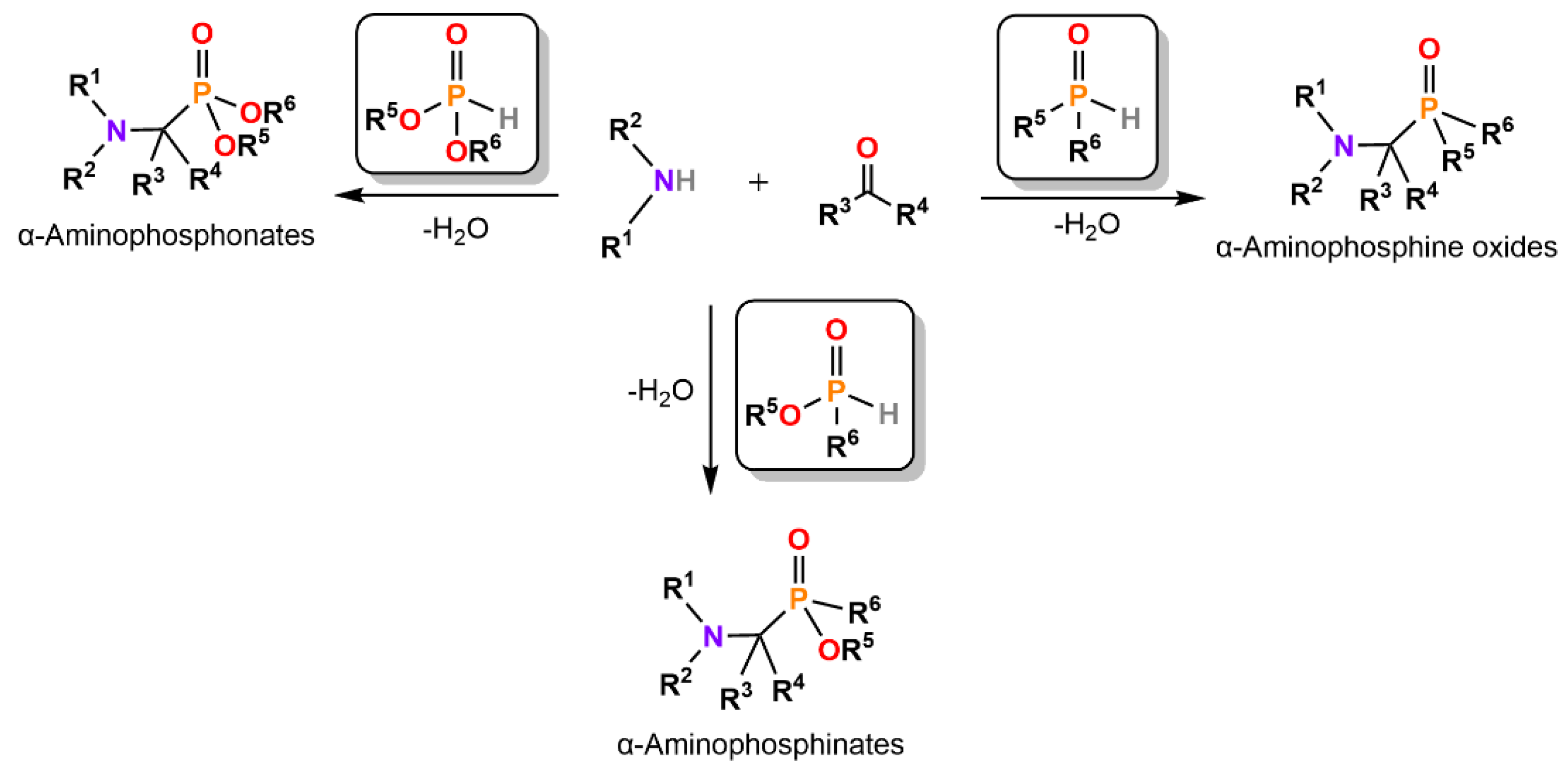 Molecules 27 03465 sch003