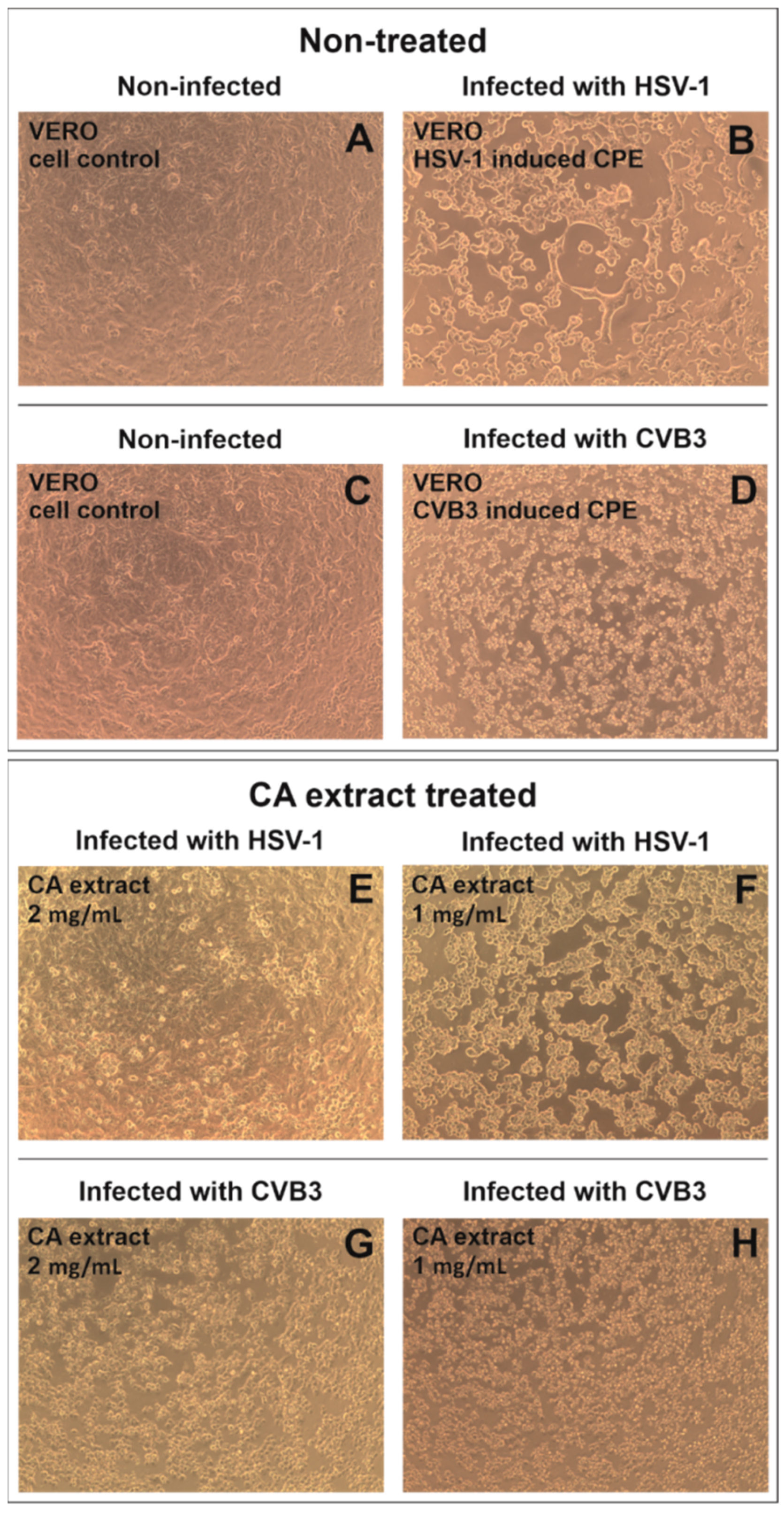 Molecules 27 03468 g002