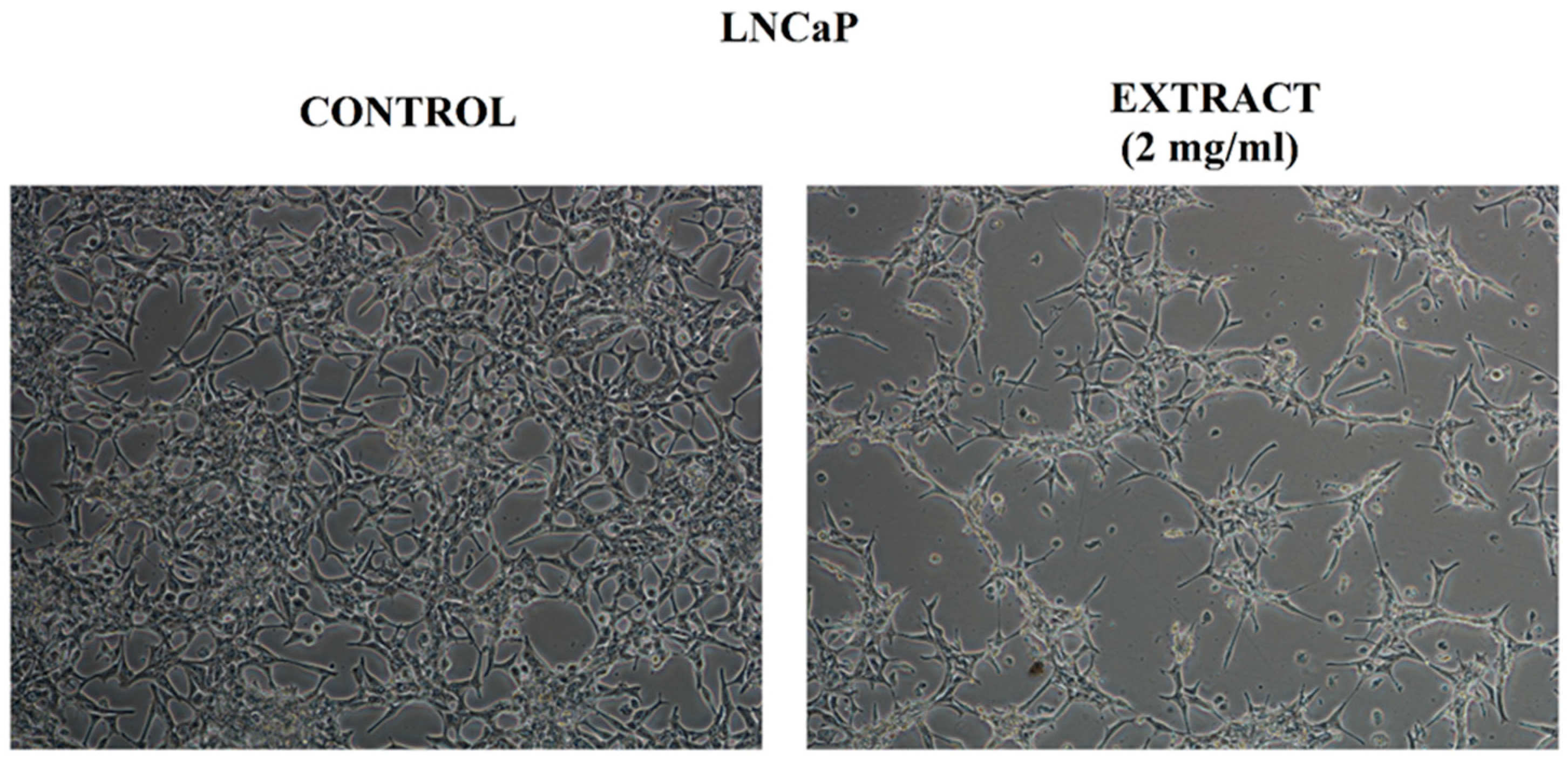 Molecules 27 03468 g005