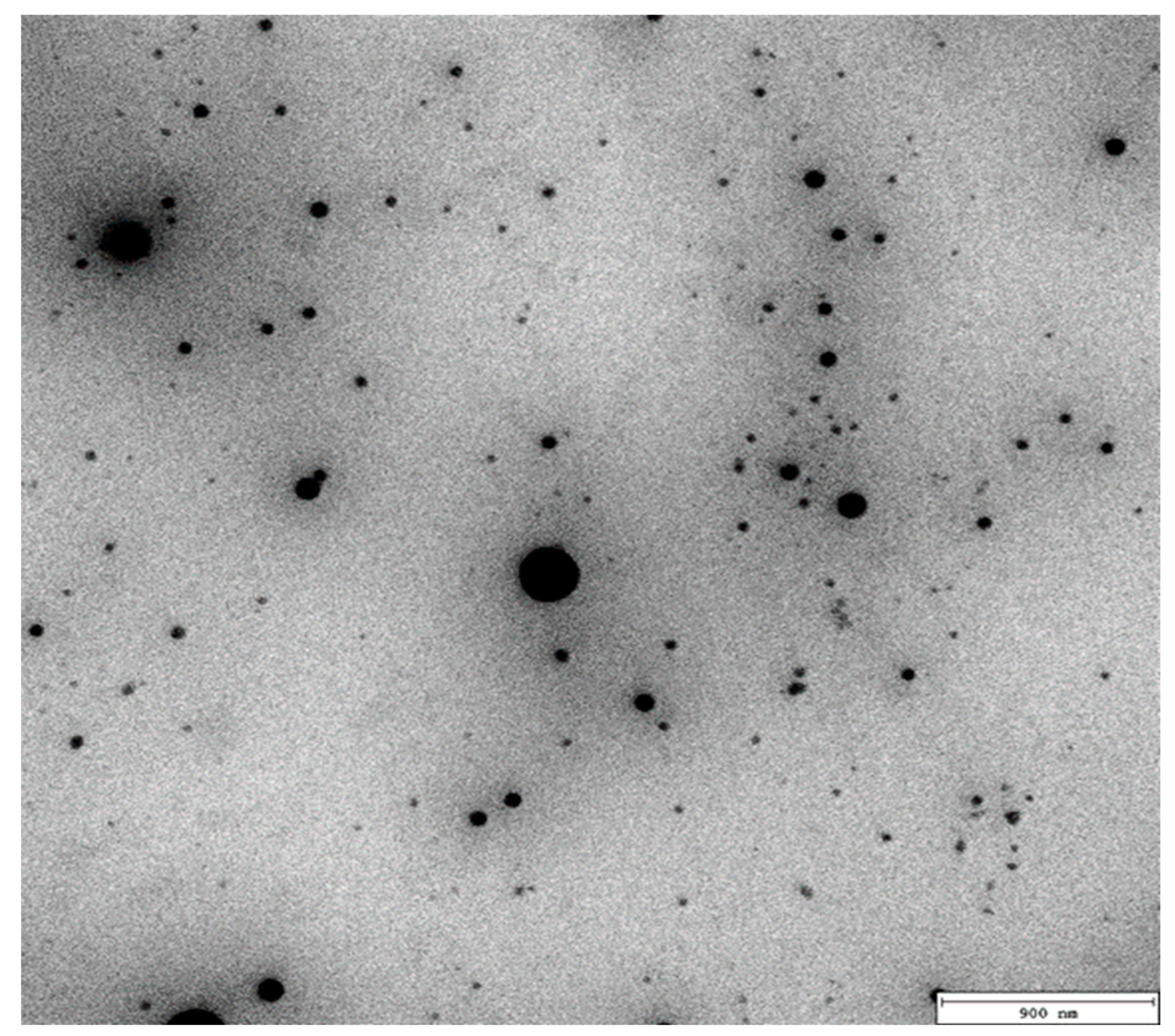 Molecules 27 03480 g004