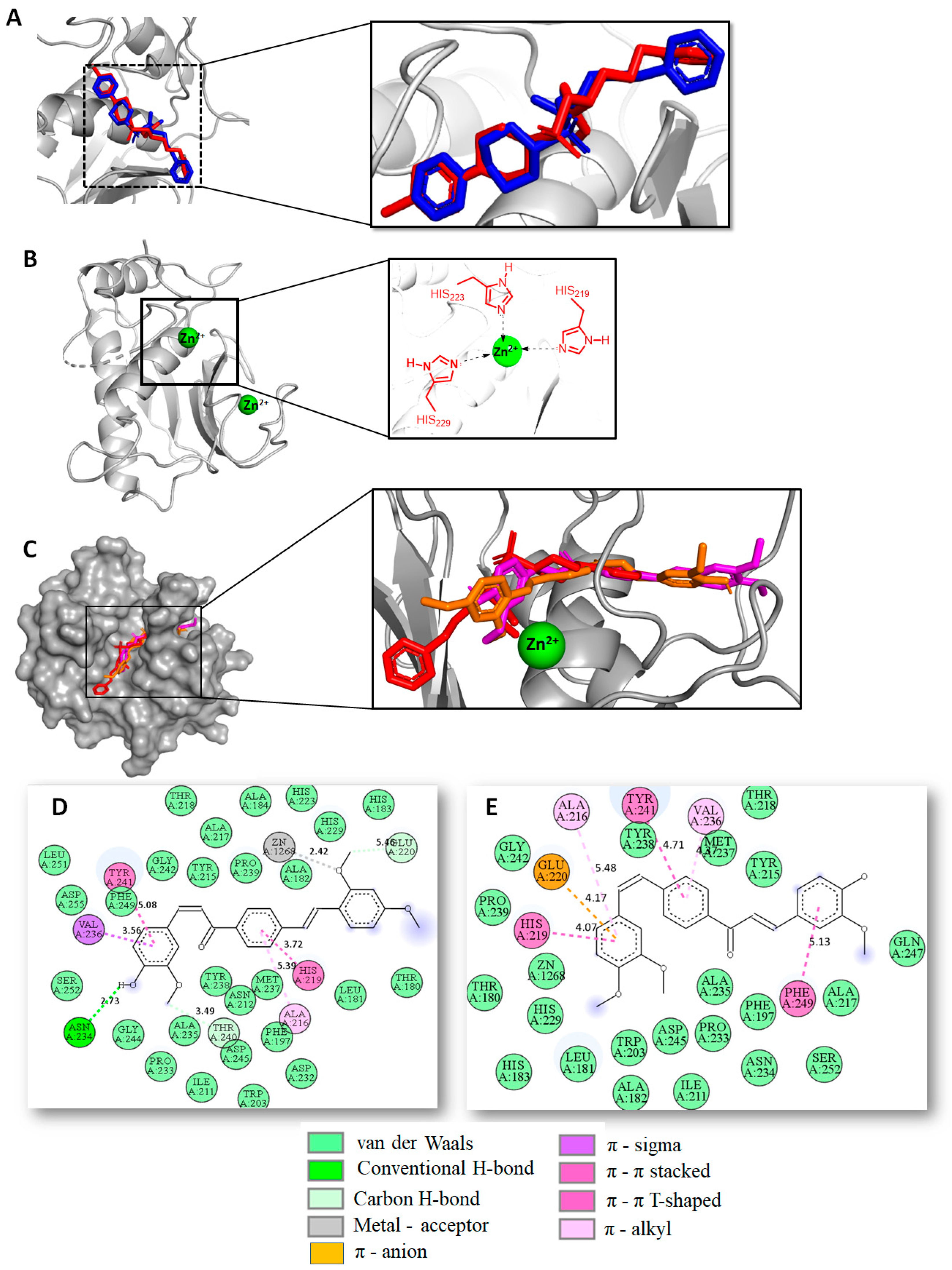 Molecules 27 03486 g010