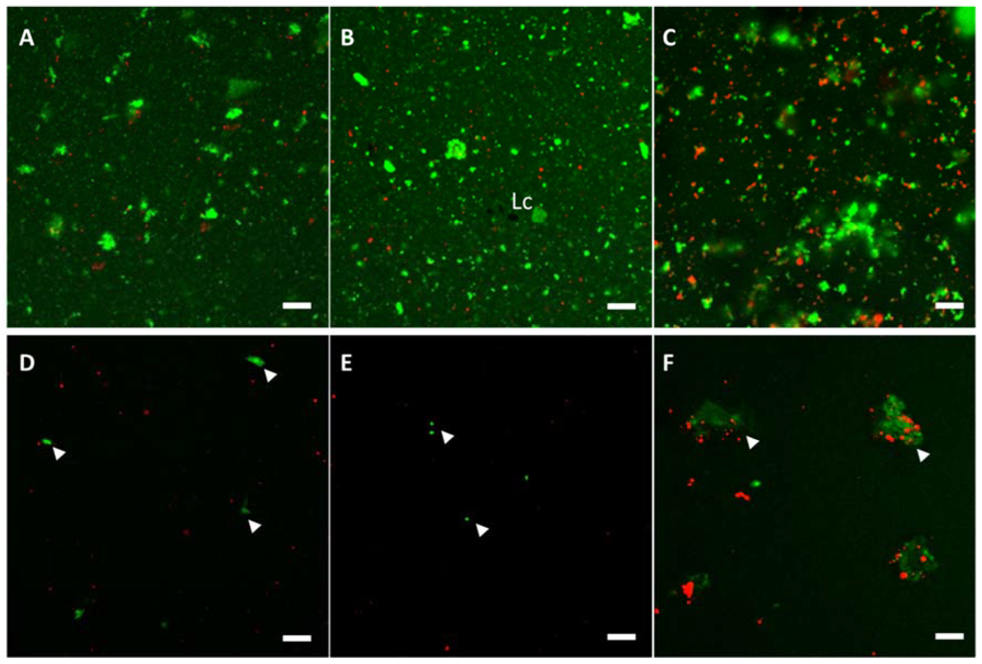 Molecules 27 03487 g002