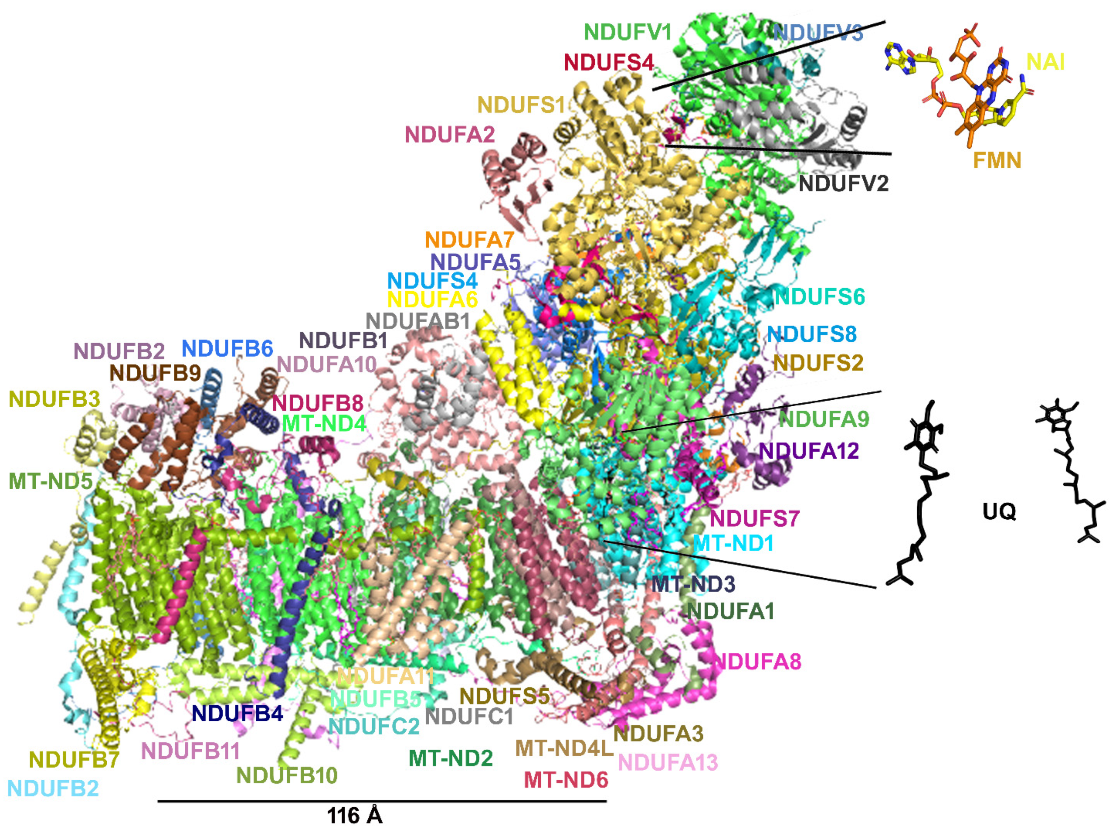 Molecules 27 03494 g004 Molecules 27 03494 g004