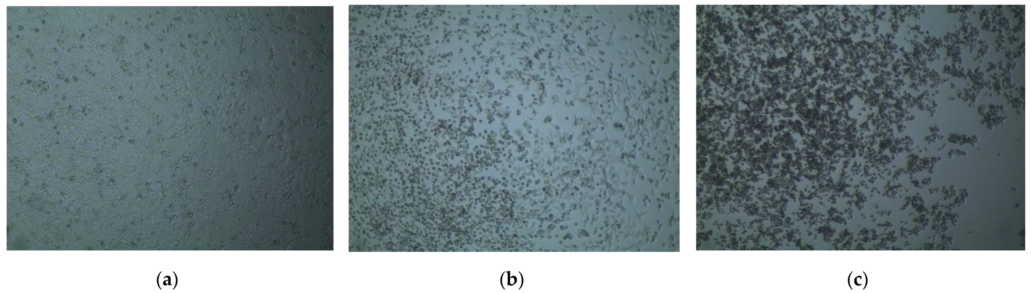 Molecules 27 03499 g002