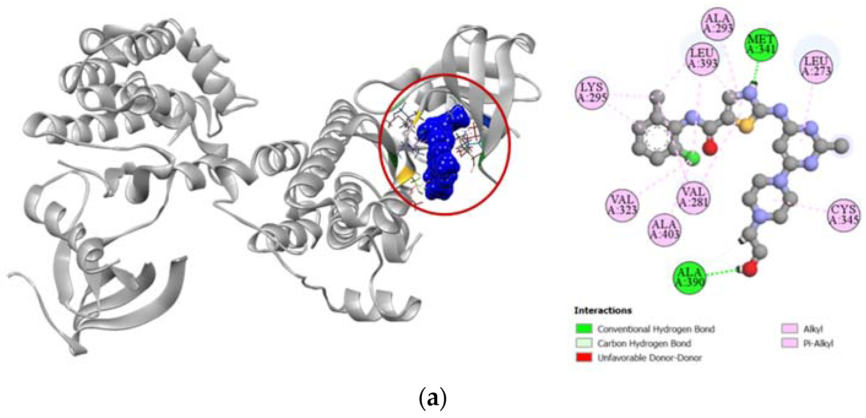Molecules 27 03499 g007a