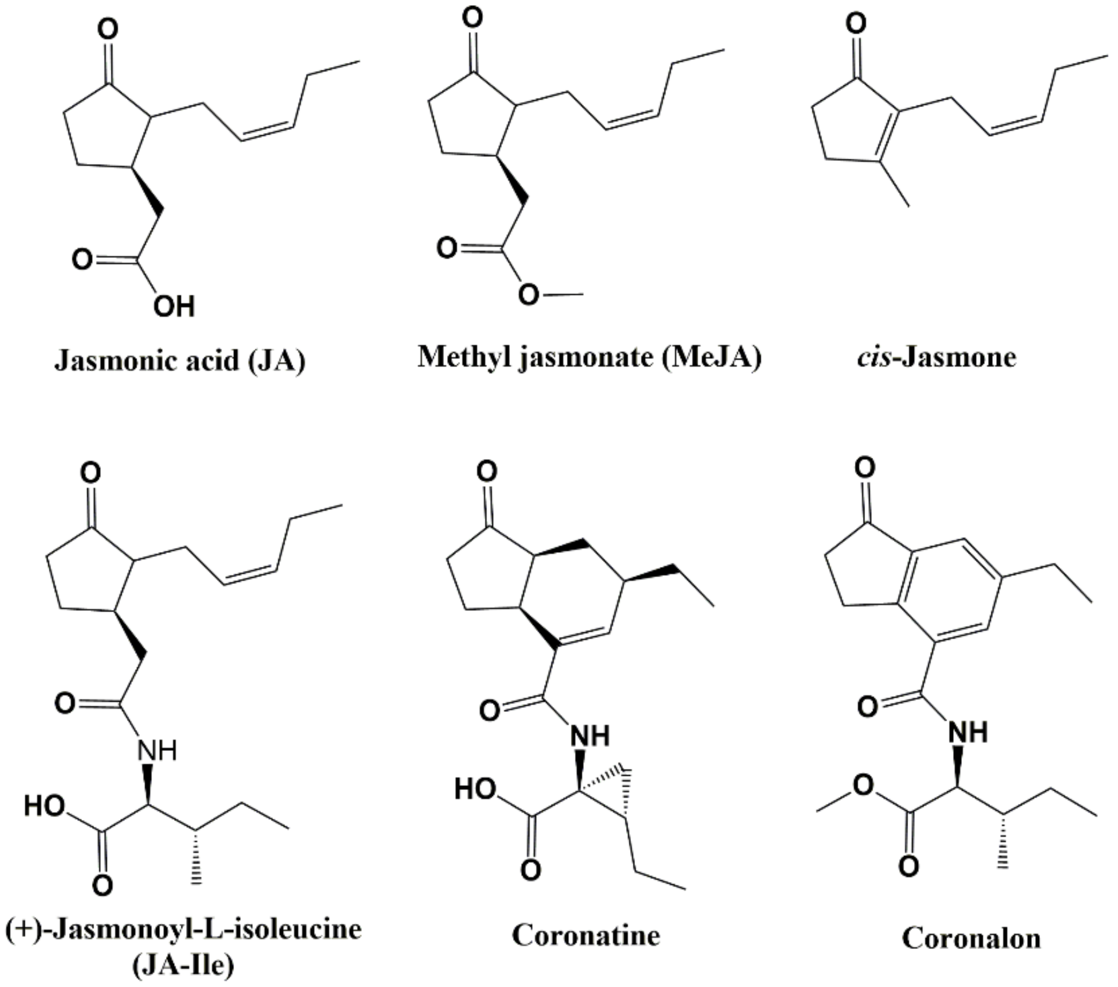 Molecules 27 03500 g001