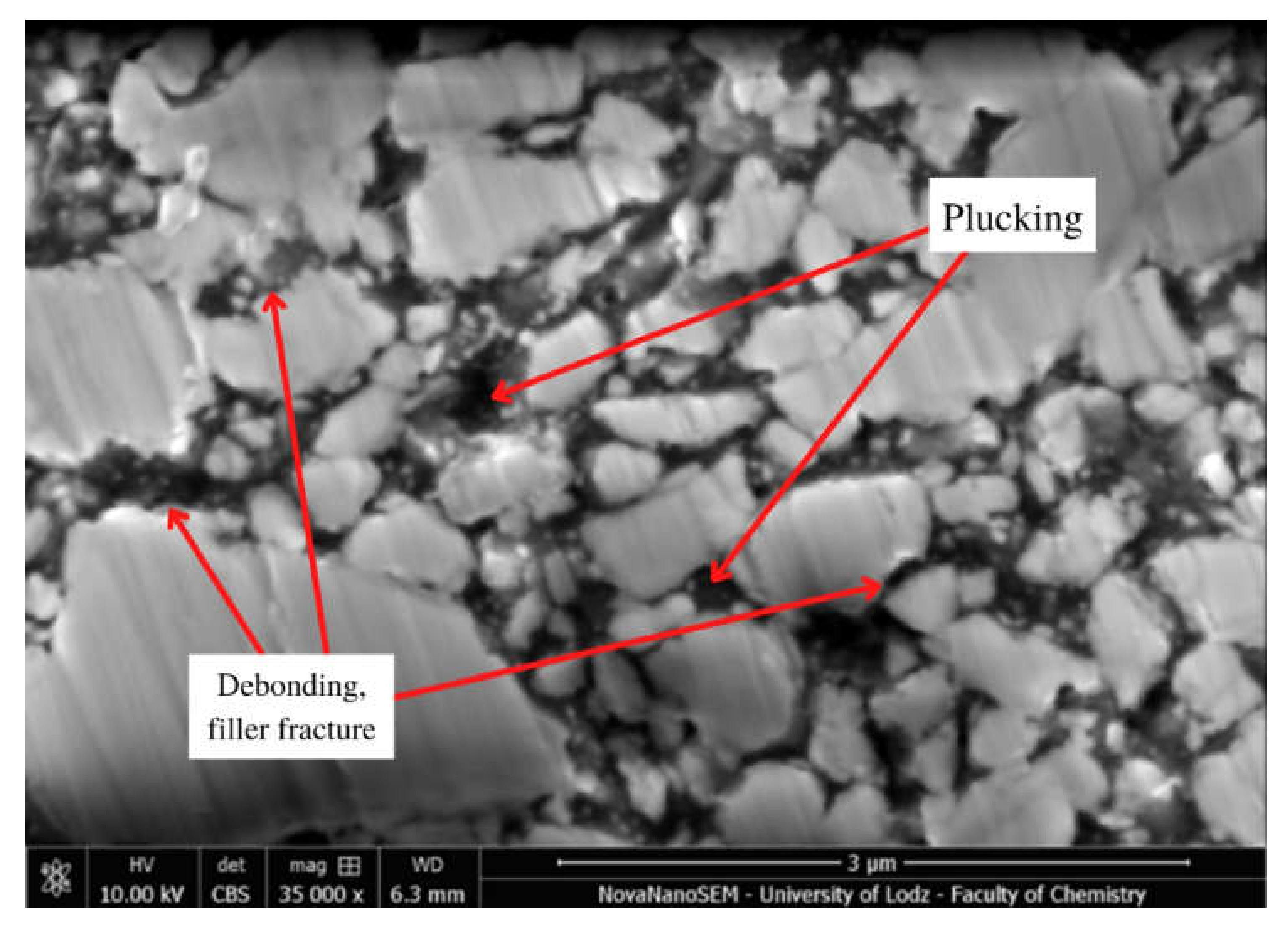 Molecules 27 03511 g006