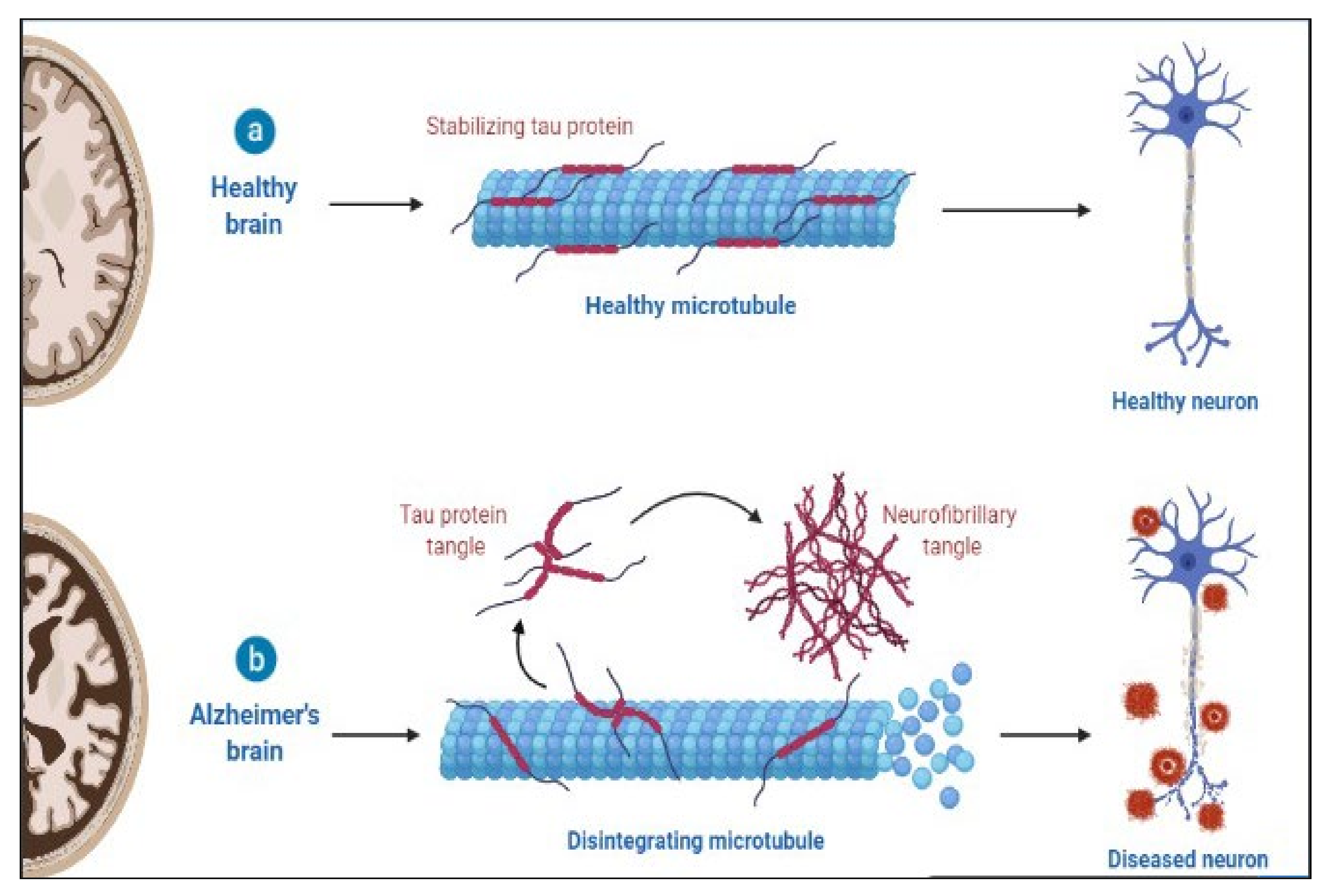 Molecules 27 03516 g002