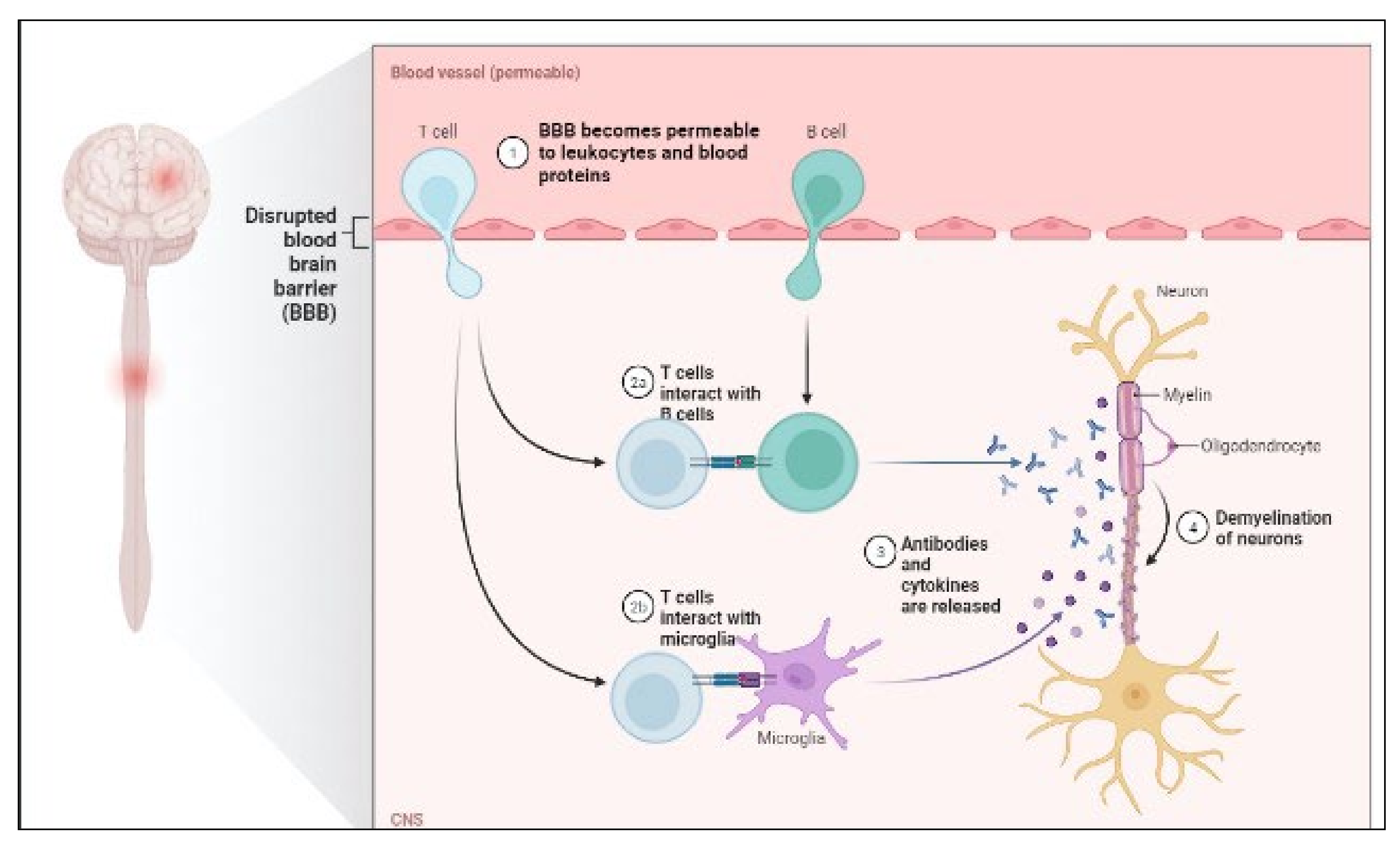 Molecules 27 03516 g003