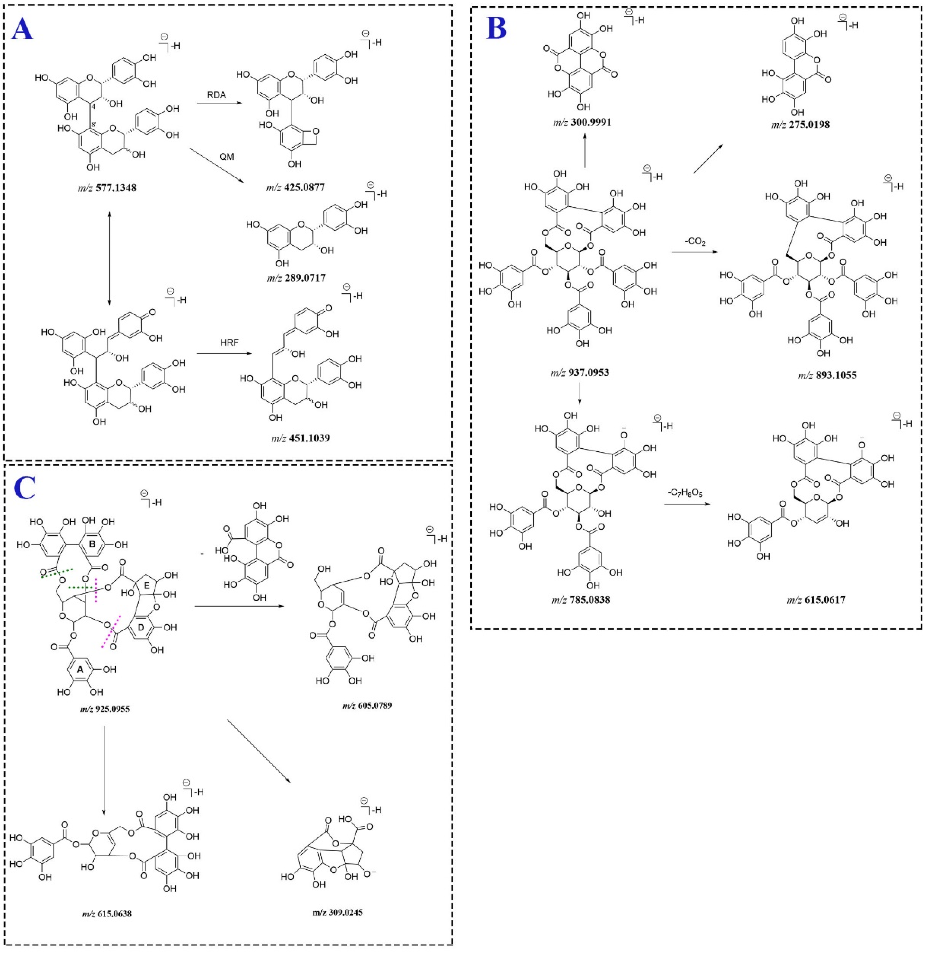 Molecules 27 03521 g004