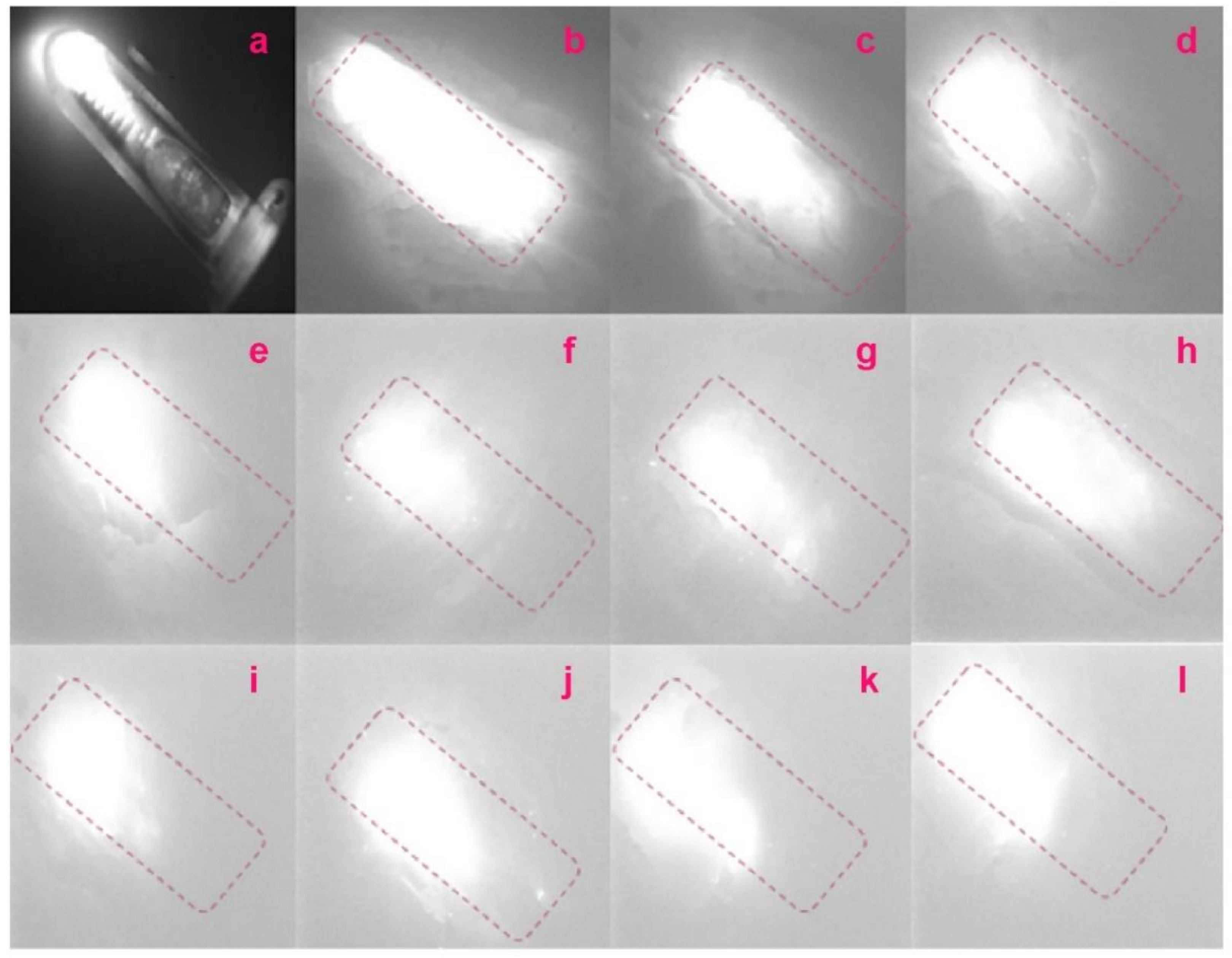 Molecules 27 03522 g005