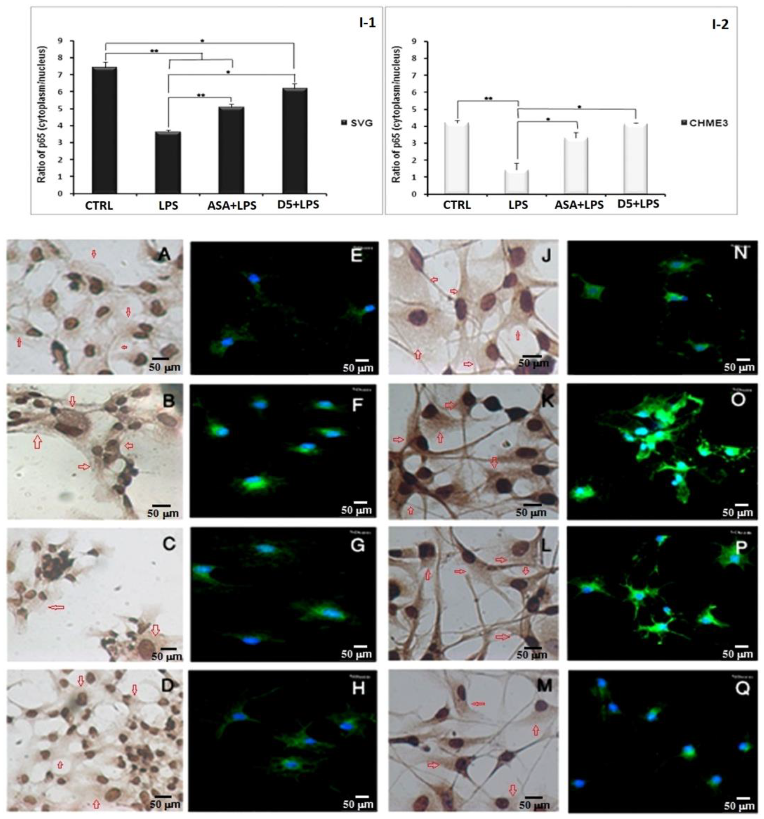 Molecules 27 03527 g008