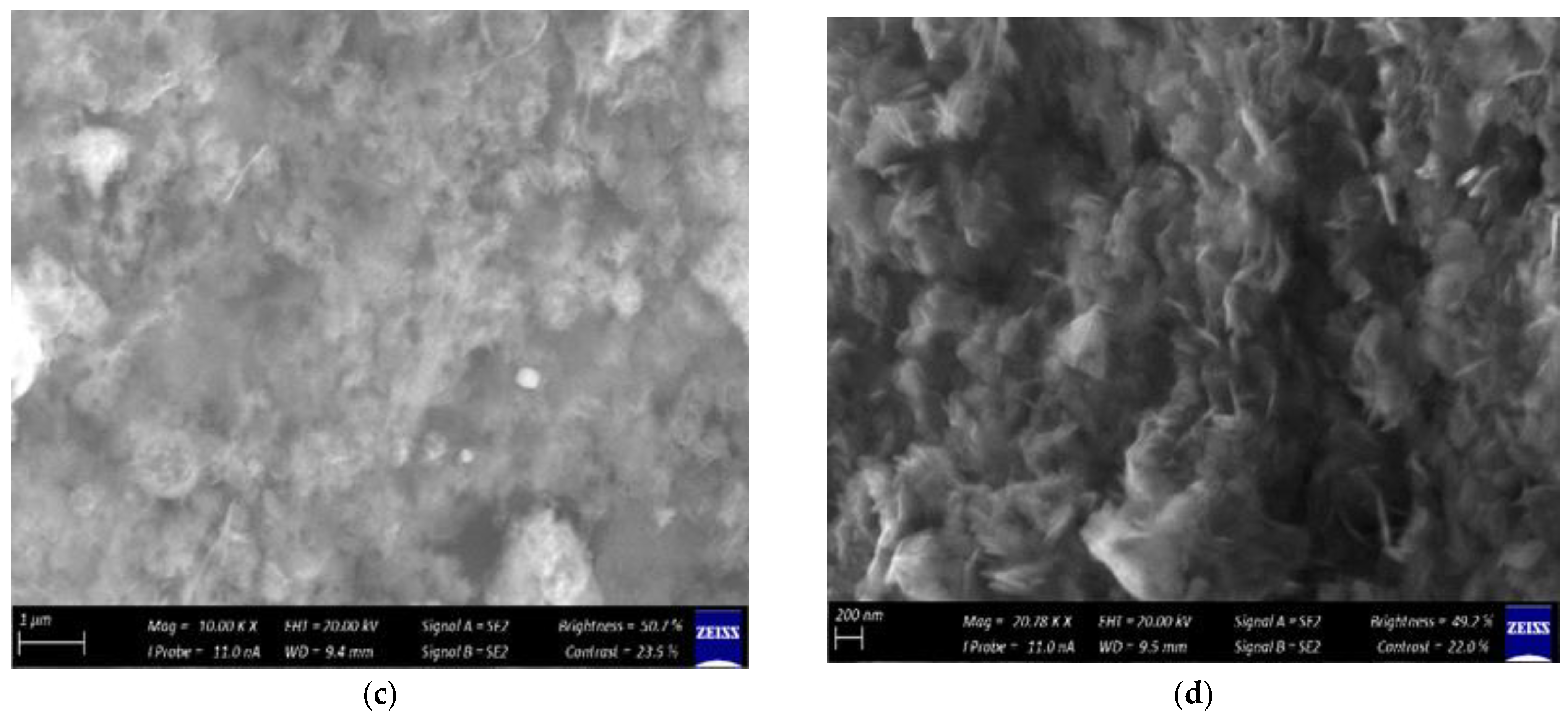 Molecules 27 03532 g003b