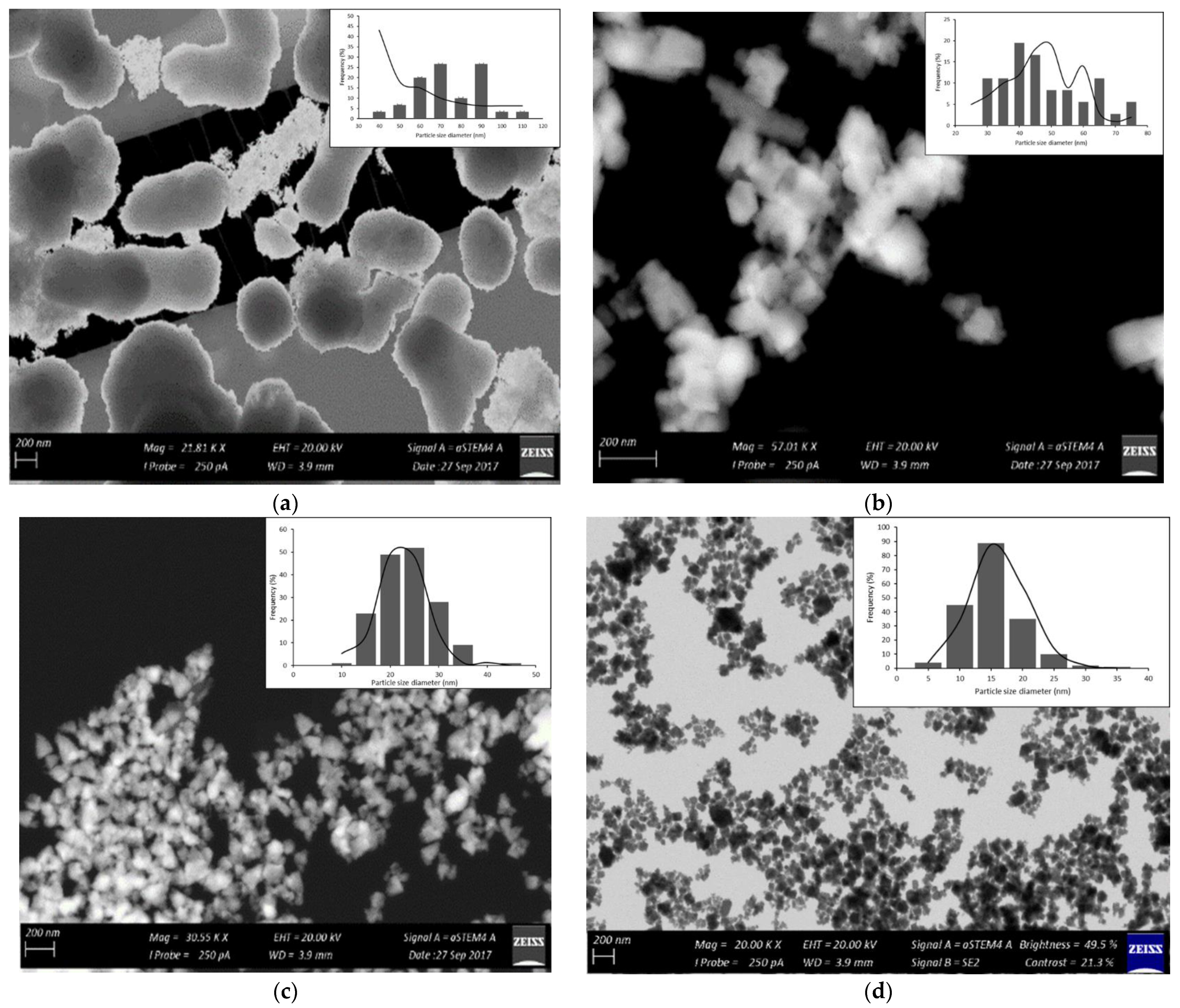 Molecules 27 03532 g005