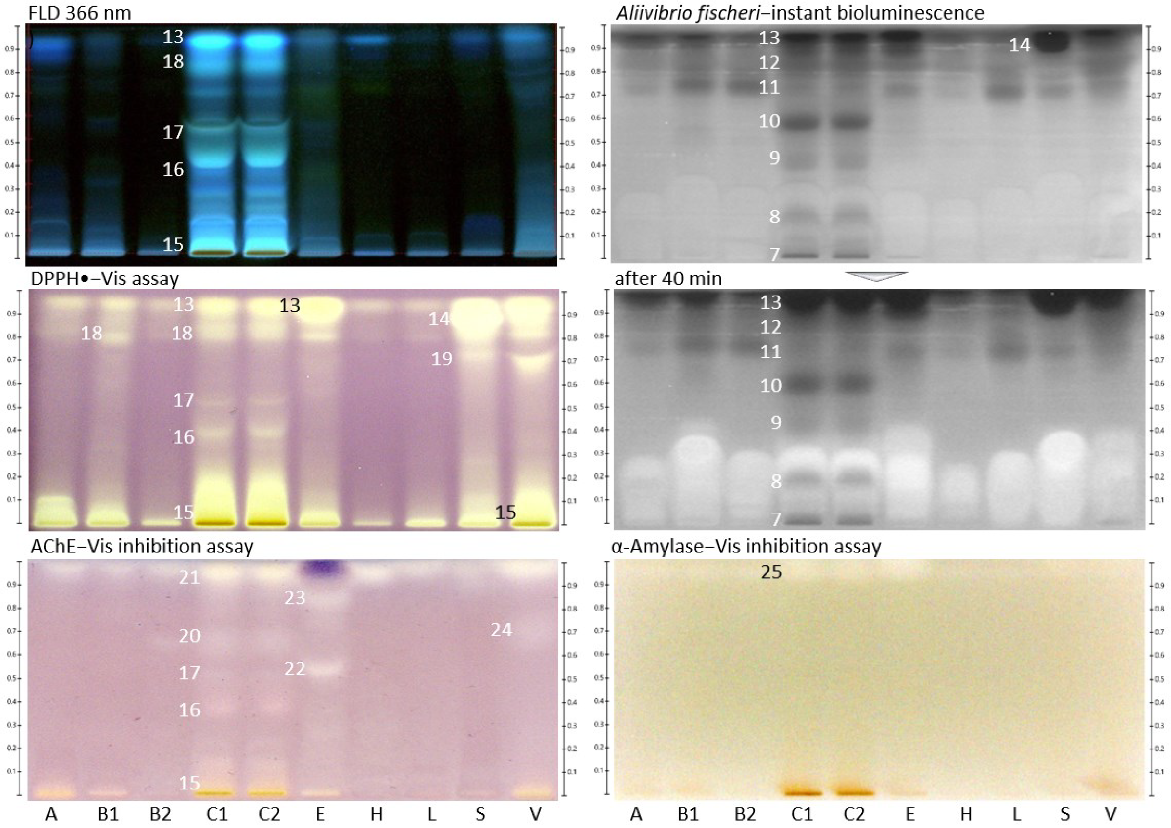 Molecules 27 03541 g002
