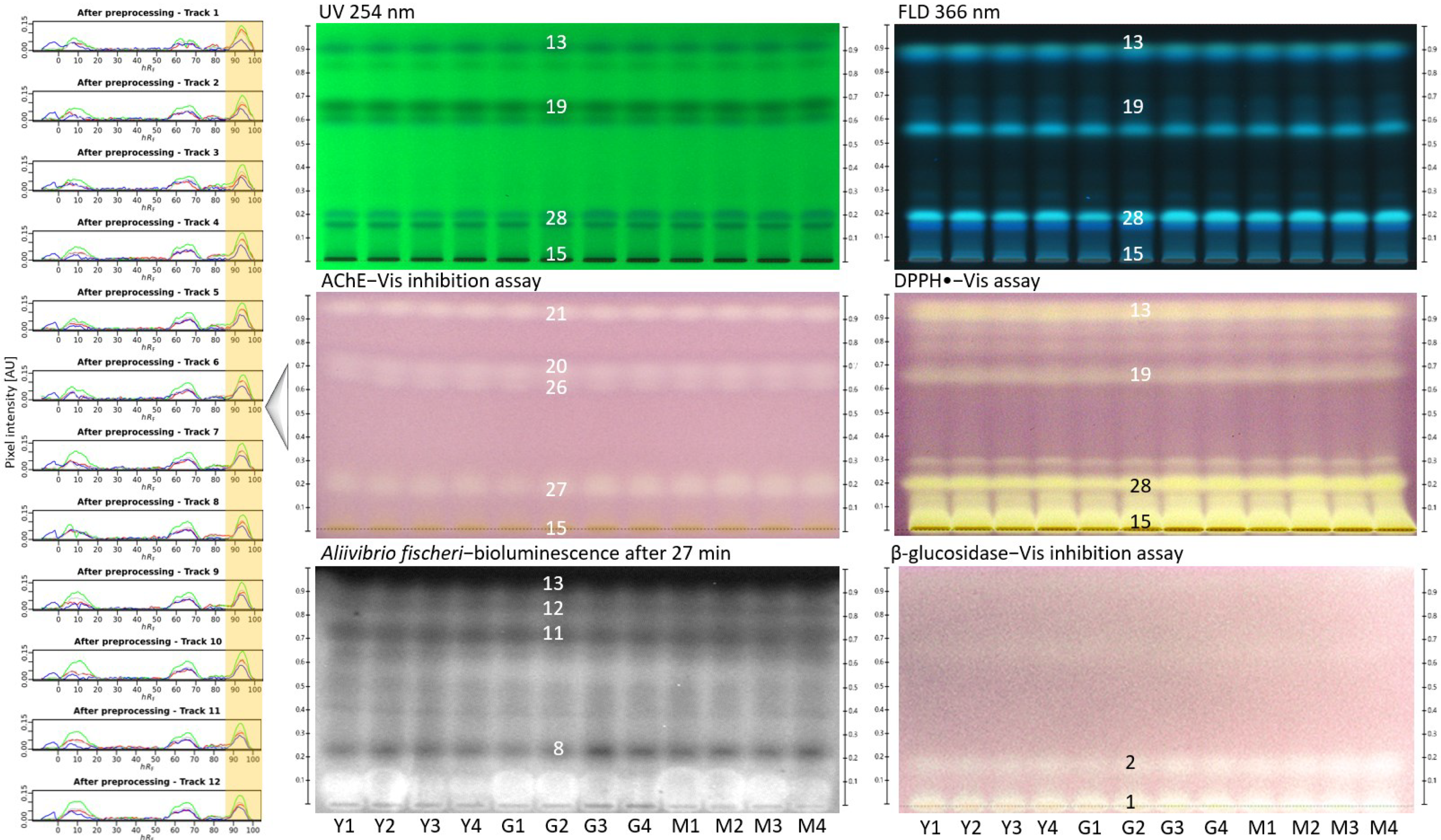 Molecules 27 03541 g003