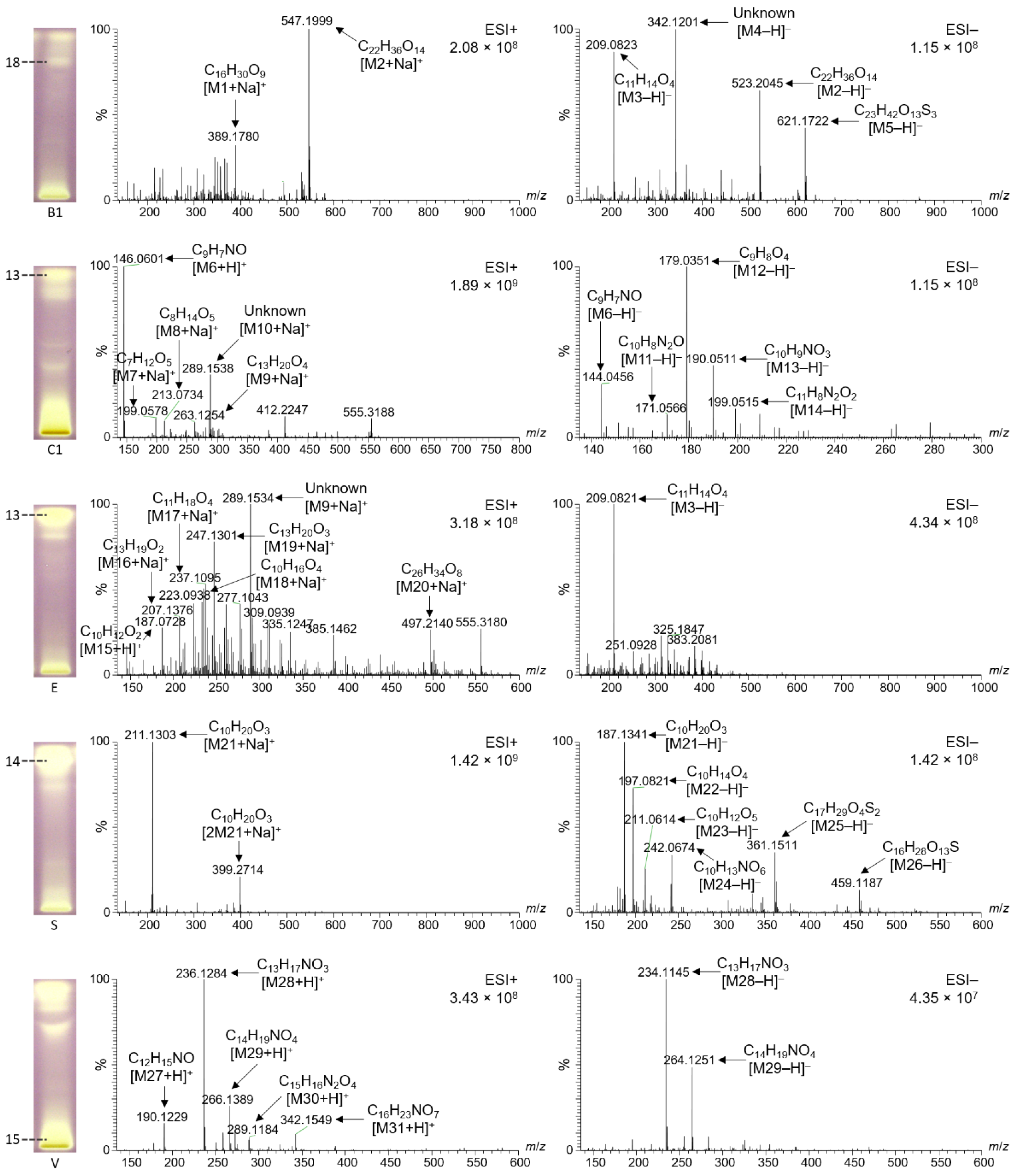 Molecules 27 03541 g004
