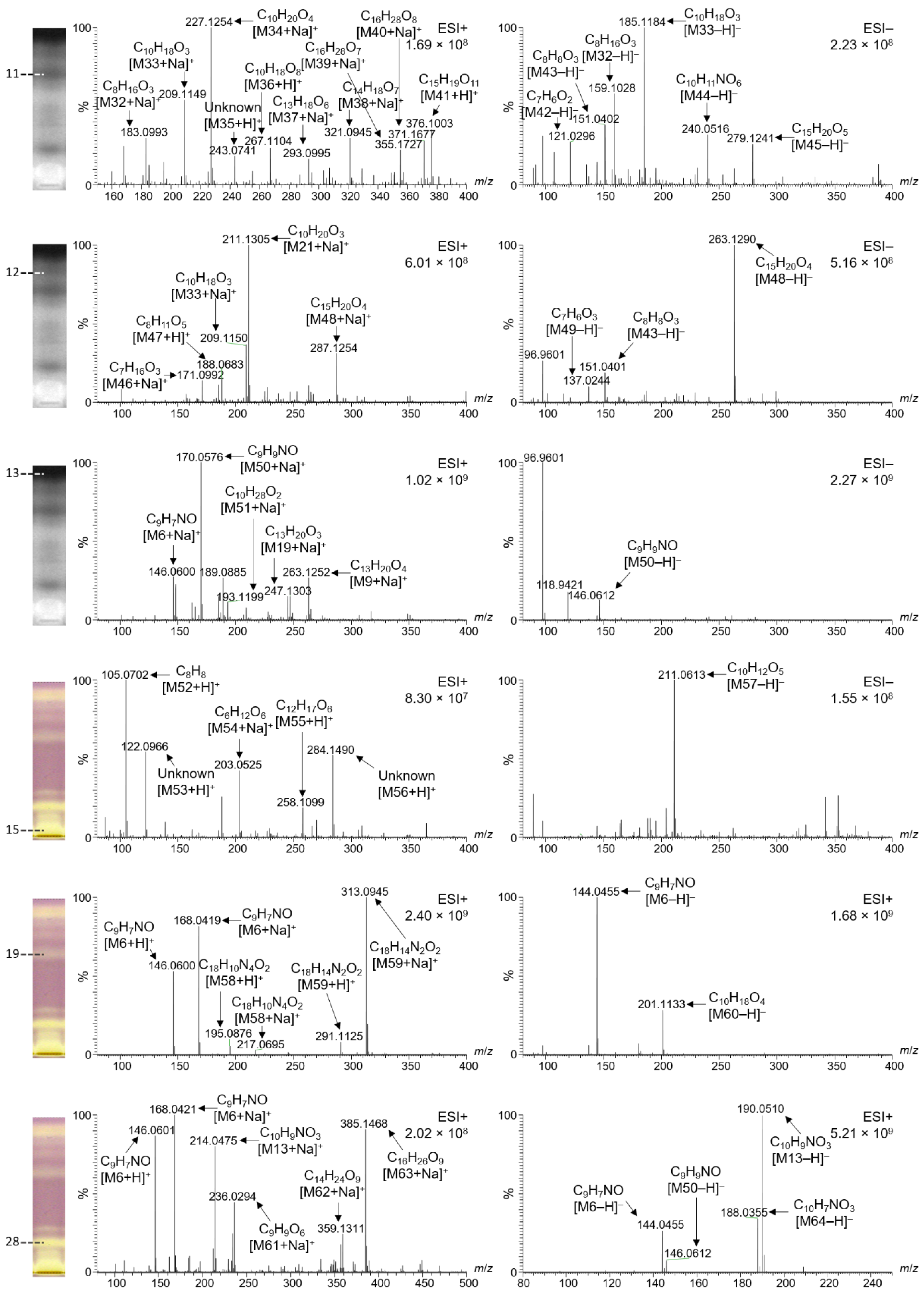 Molecules 27 03541 g005
