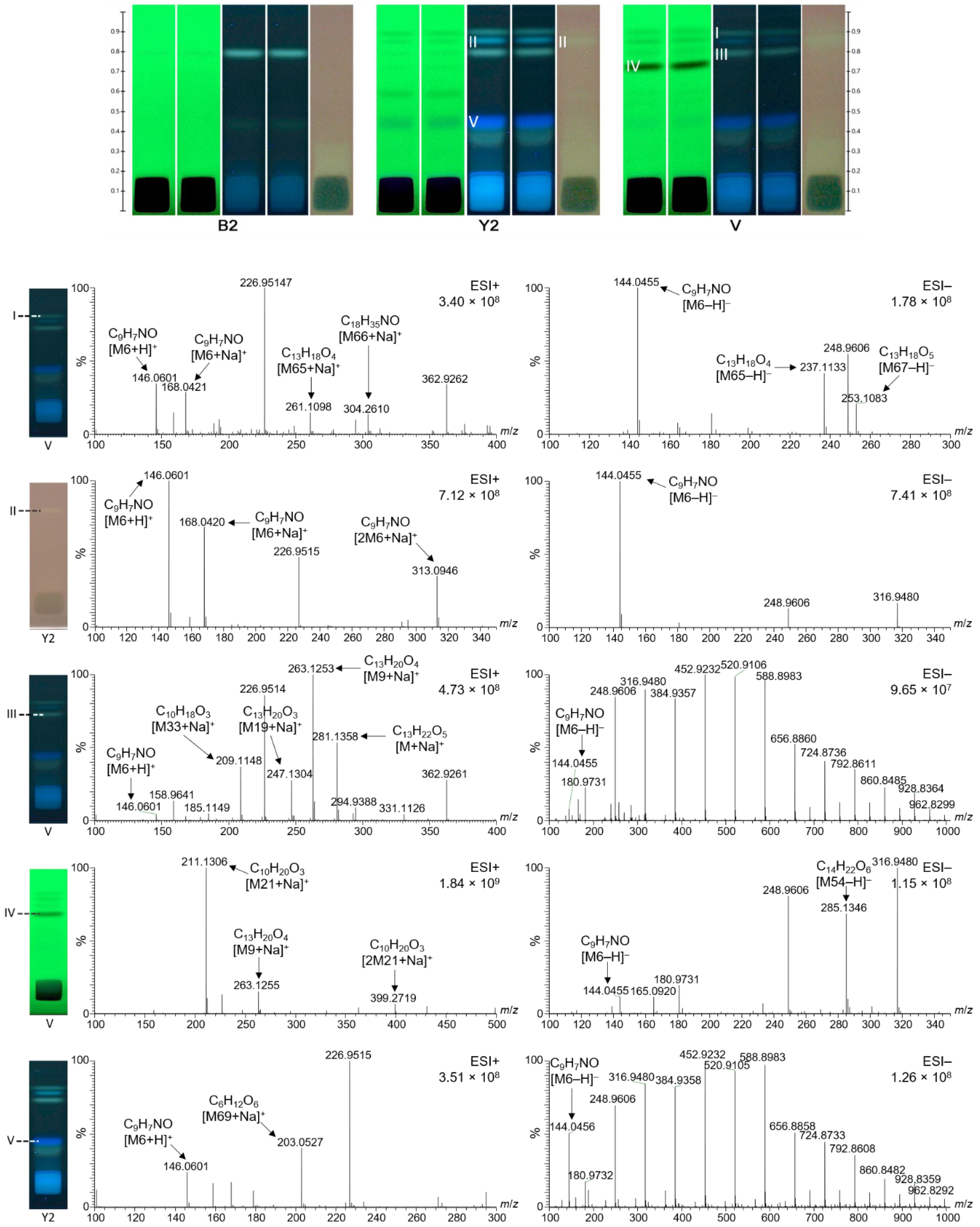 Molecules 27 03541 g006