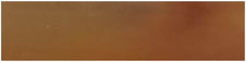 Molecules 27 03541 i011