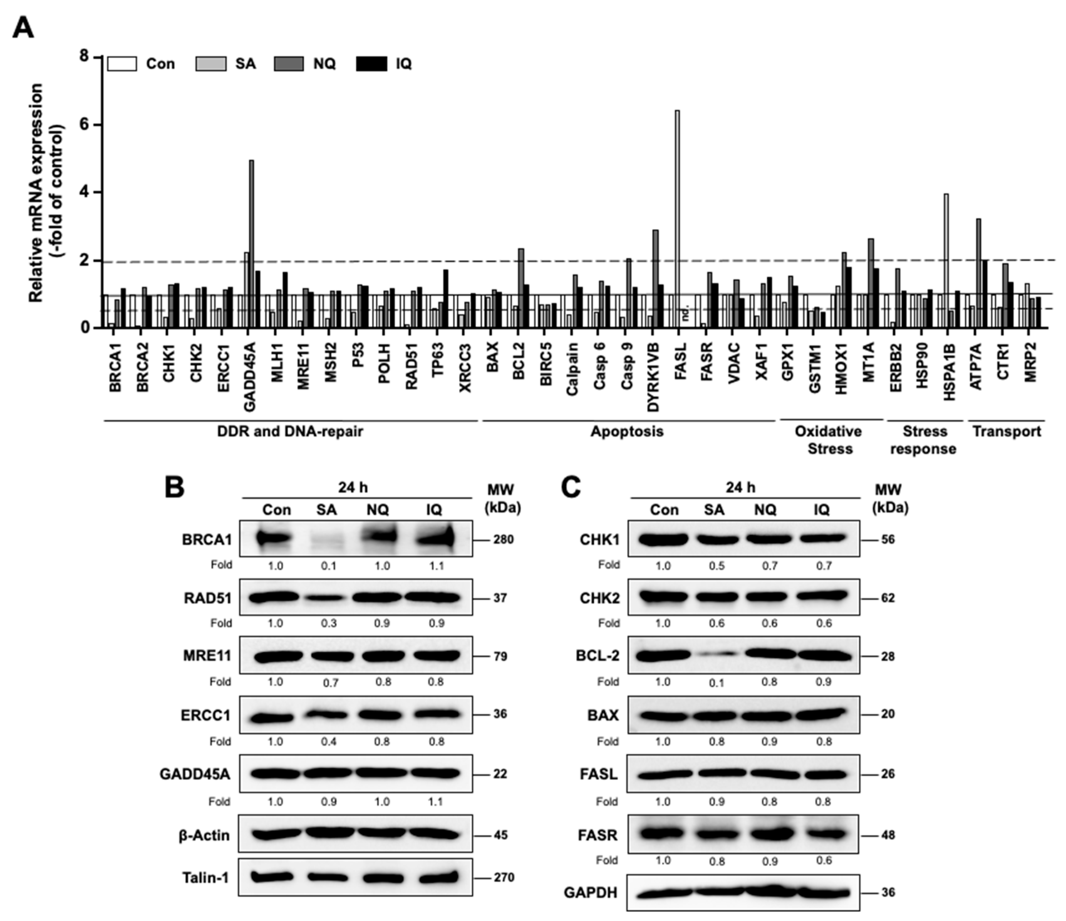 Molecules 27 03567 g006 Molecules 27 03567 g006