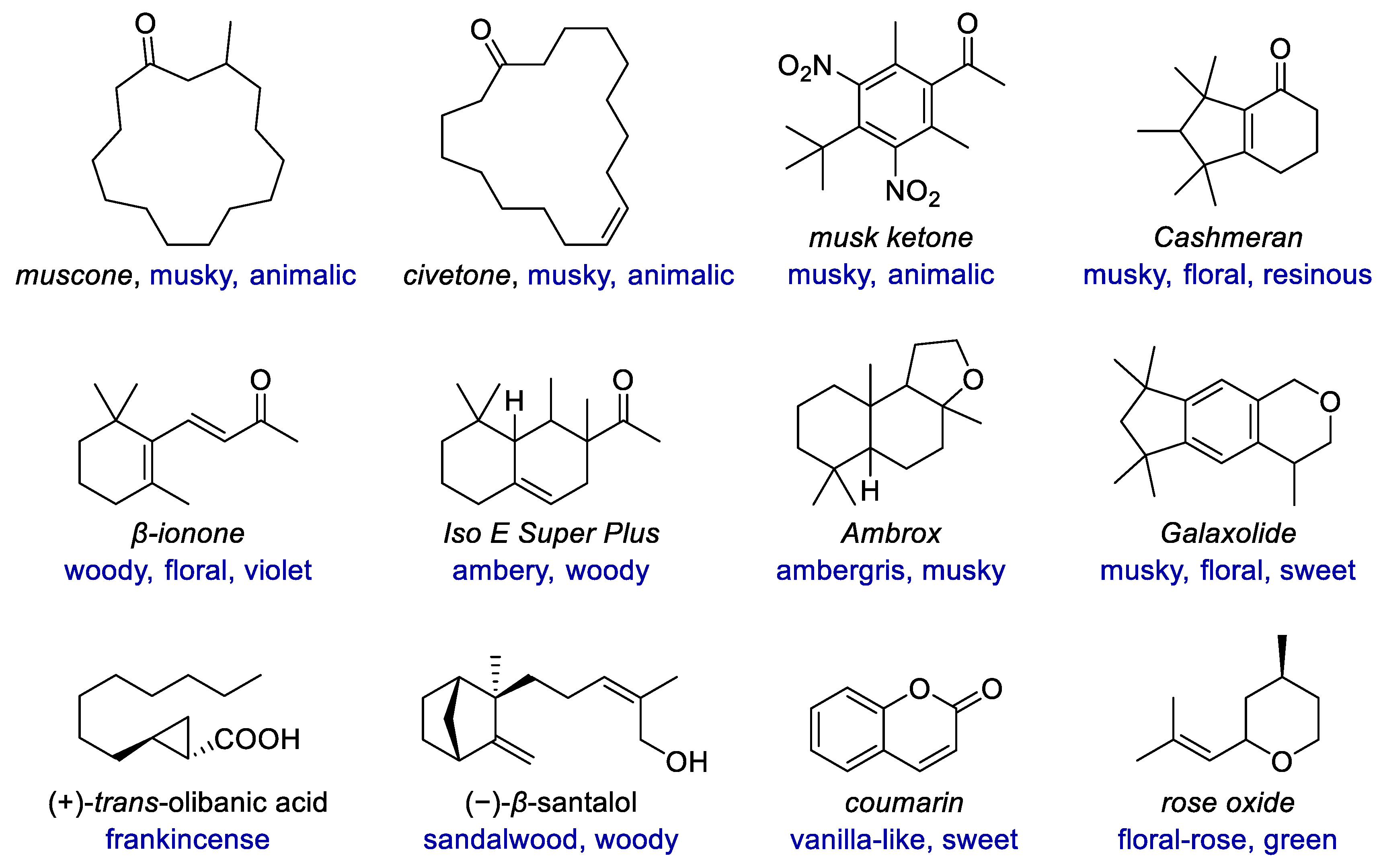 Molecules 27 03576 g001