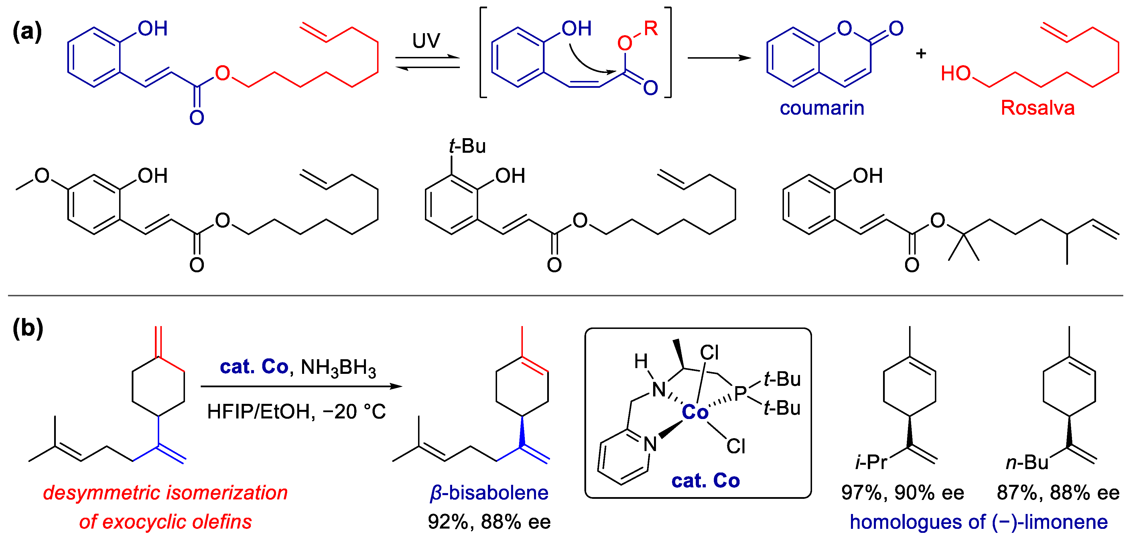 Molecules 27 03576 sch010