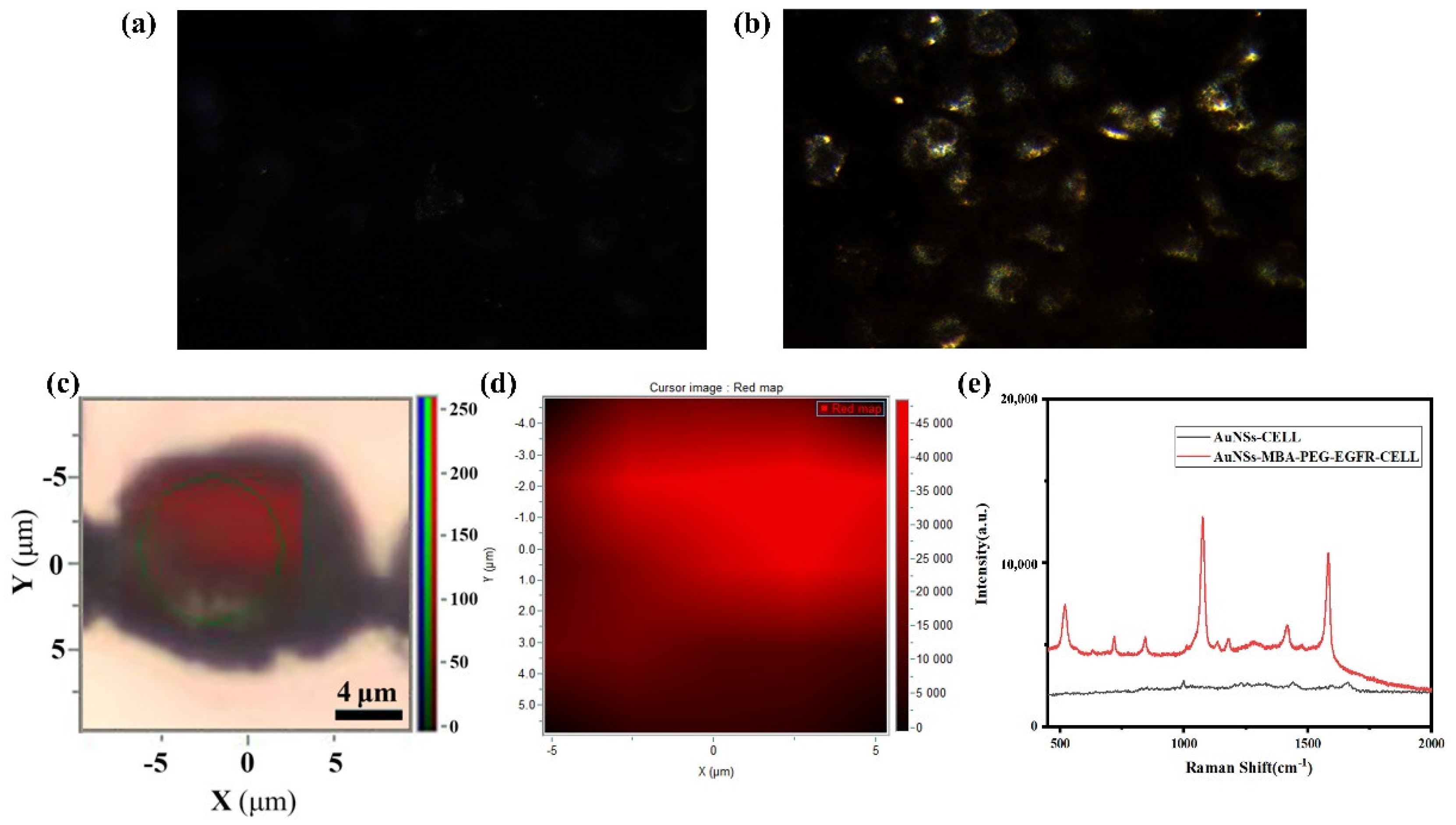 Molecules 27 03582 g005