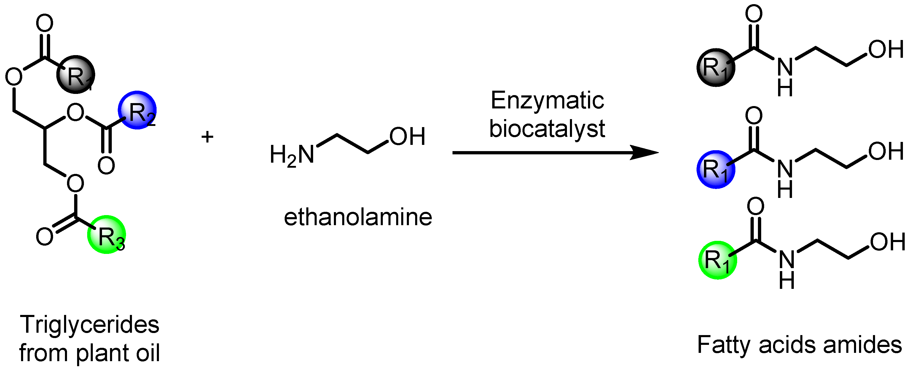 Molecules 27 03595 g003