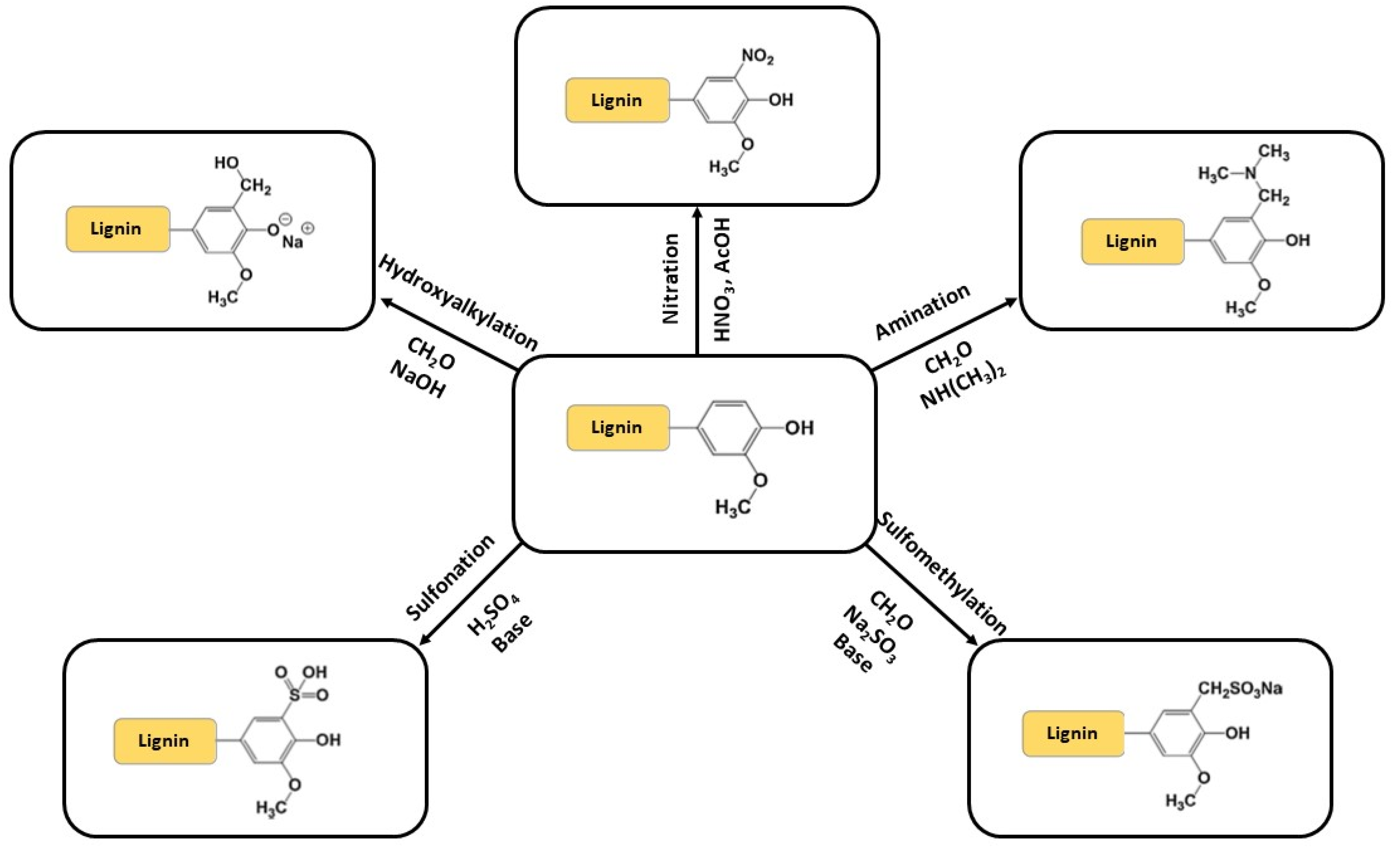 Molecules | Free Full-Text | Lignin As A Natural Carrier For The ...