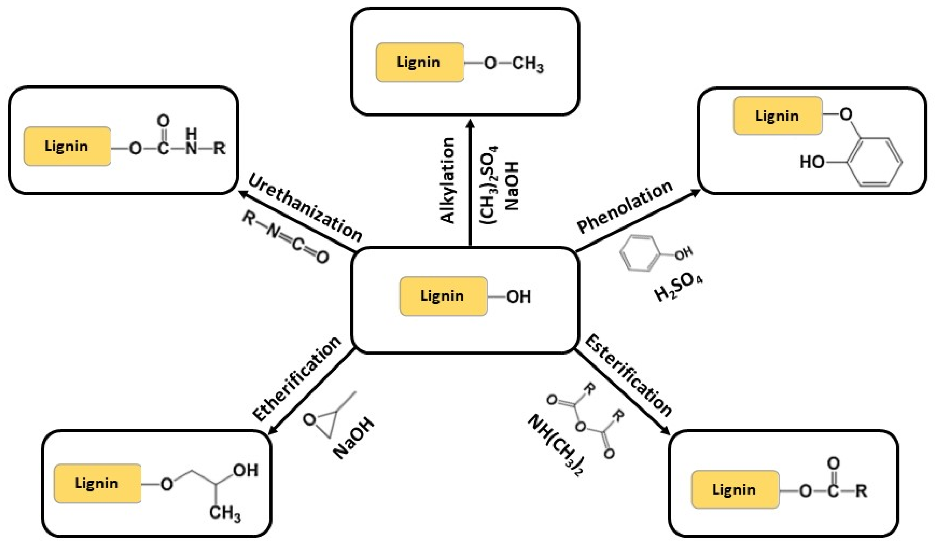 Molecules 27 03598 g008