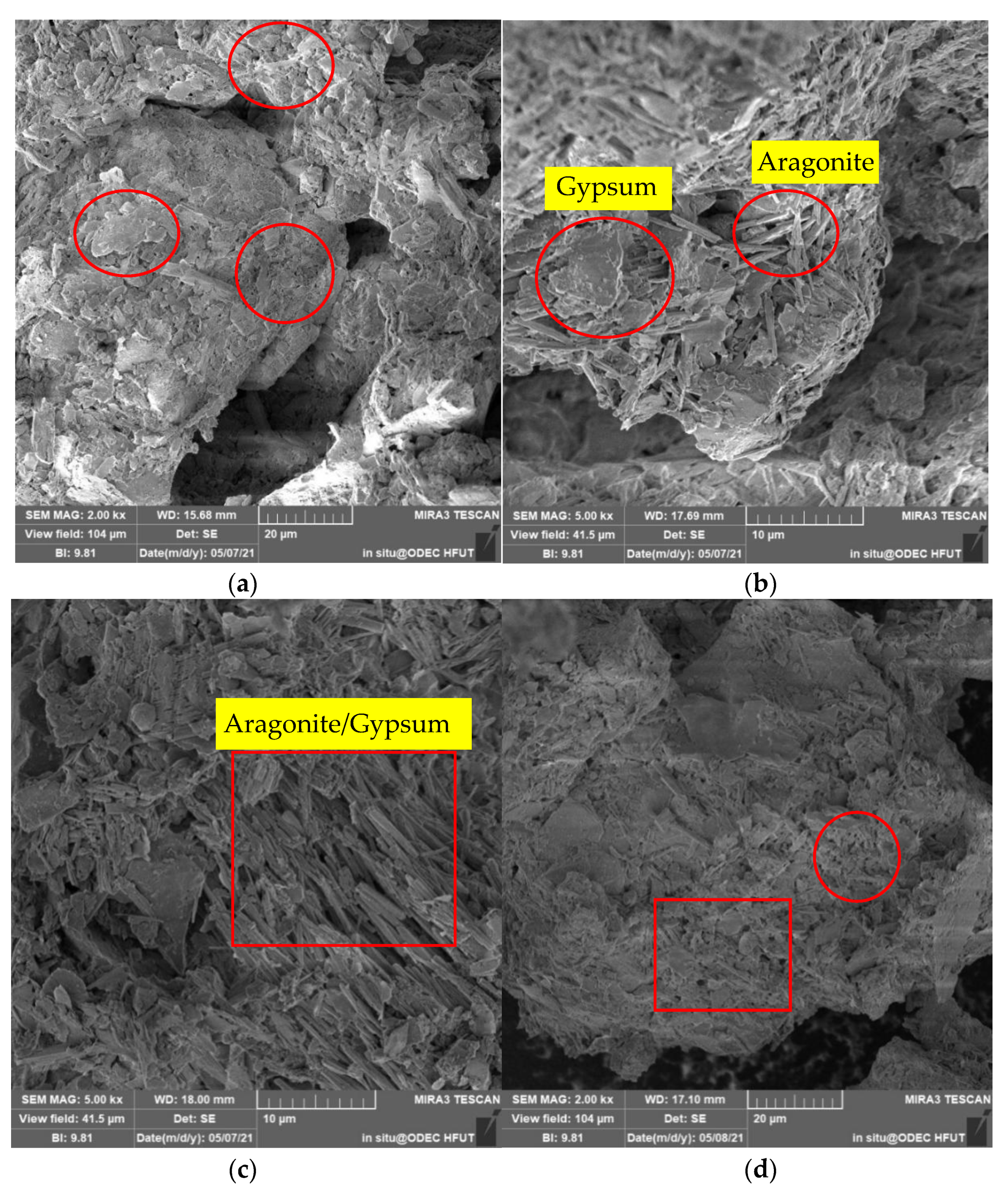 Molecules 27 03608 g011a