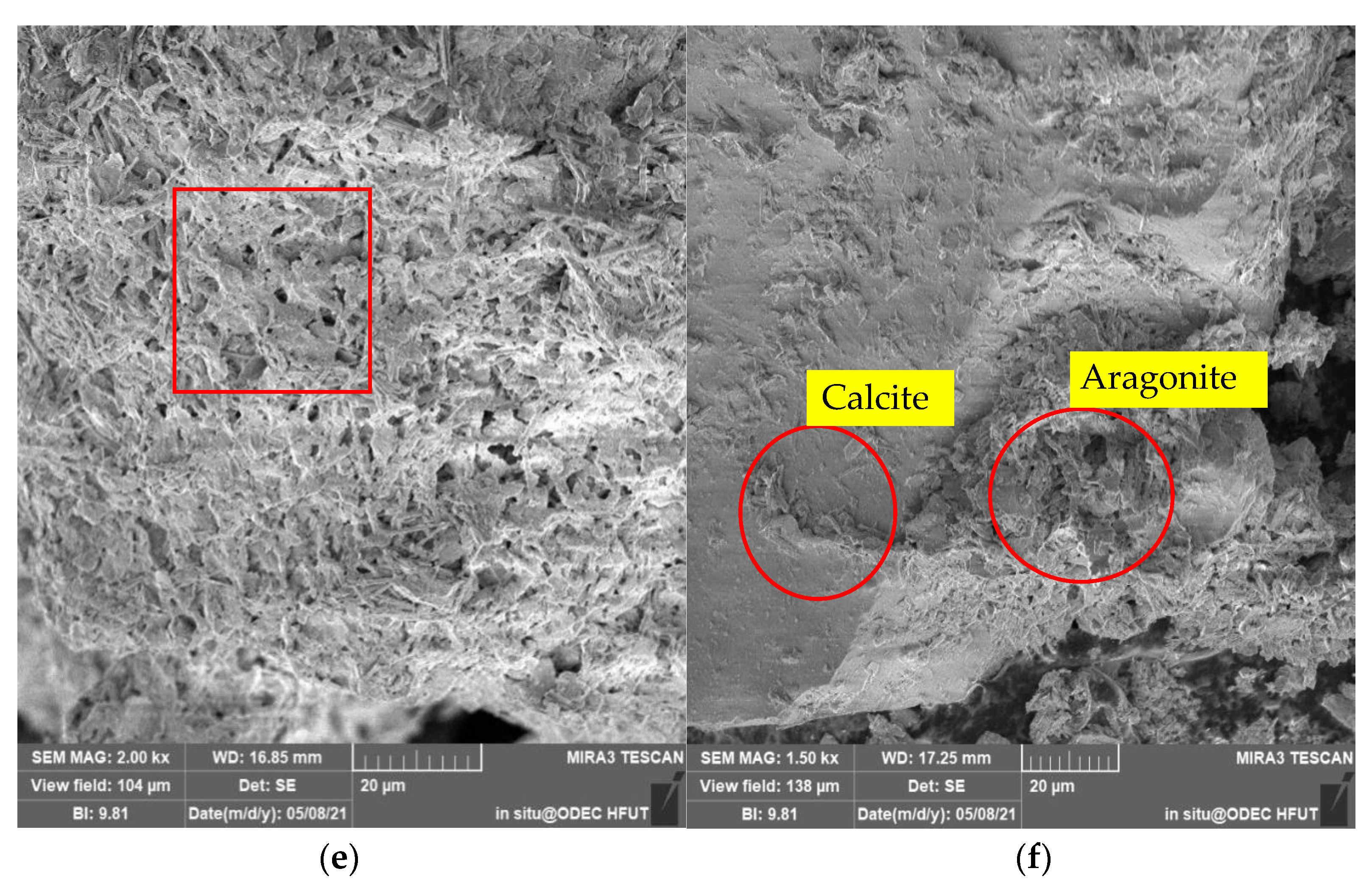 Molecules 27 03608 g011b